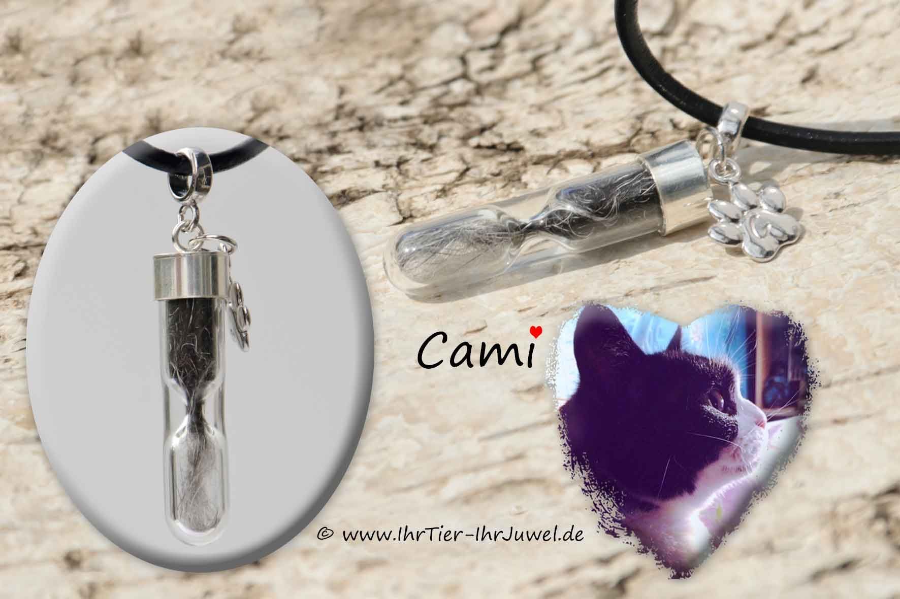 Tierhaarschmuck Erinnerung an verstorbene Katze Pfotenschmuck
