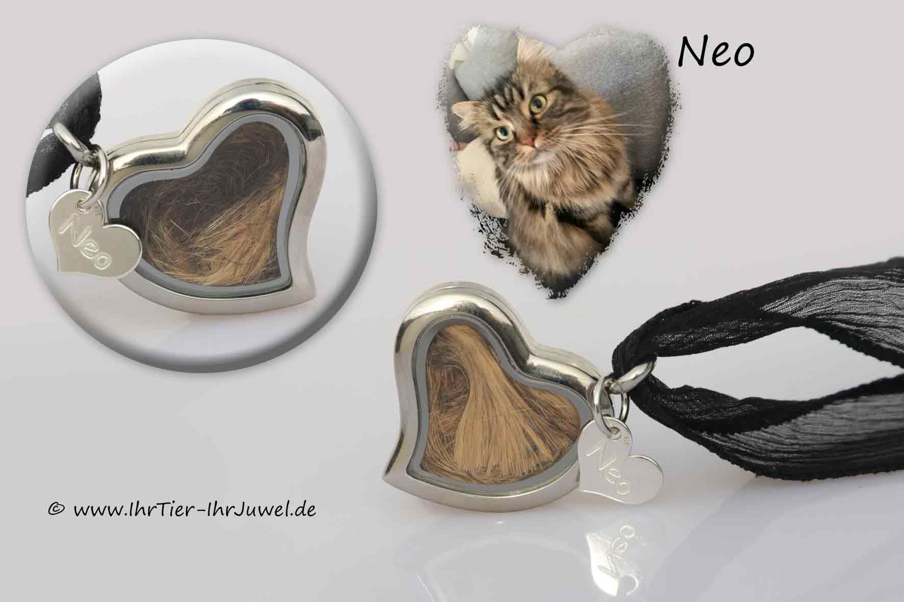 Tierhaarschmuck Erinnerungsschmuck Herzmedaillon geliebte Katze Gravurschmuck