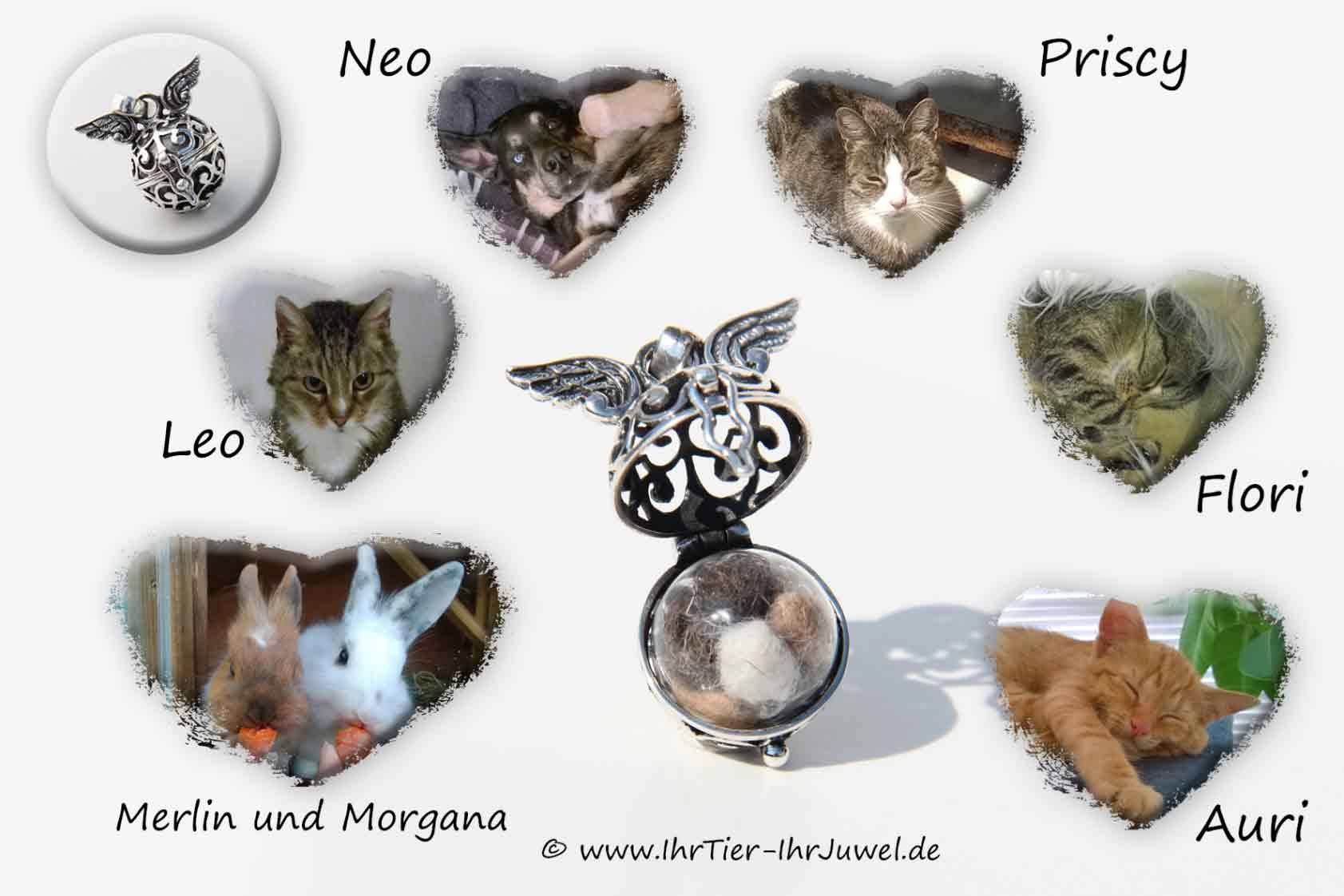 Tierhaarschmuck Fellperlen Engelsrufer Kaninchenhaar Katzenhaar Hundehaar