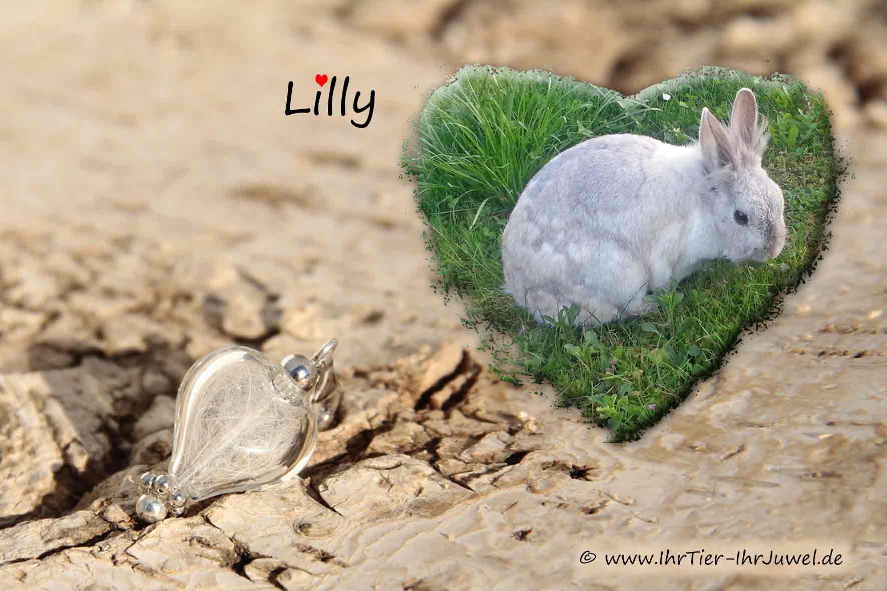 Tierhaarschmuck Glasherzchencharms mit Kaninchenhaaren geliebtes Kaninchen