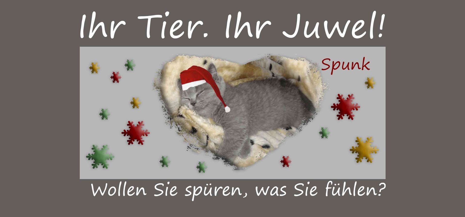 Tierhaarschmuck Gutschein Weihnachten mit Foto