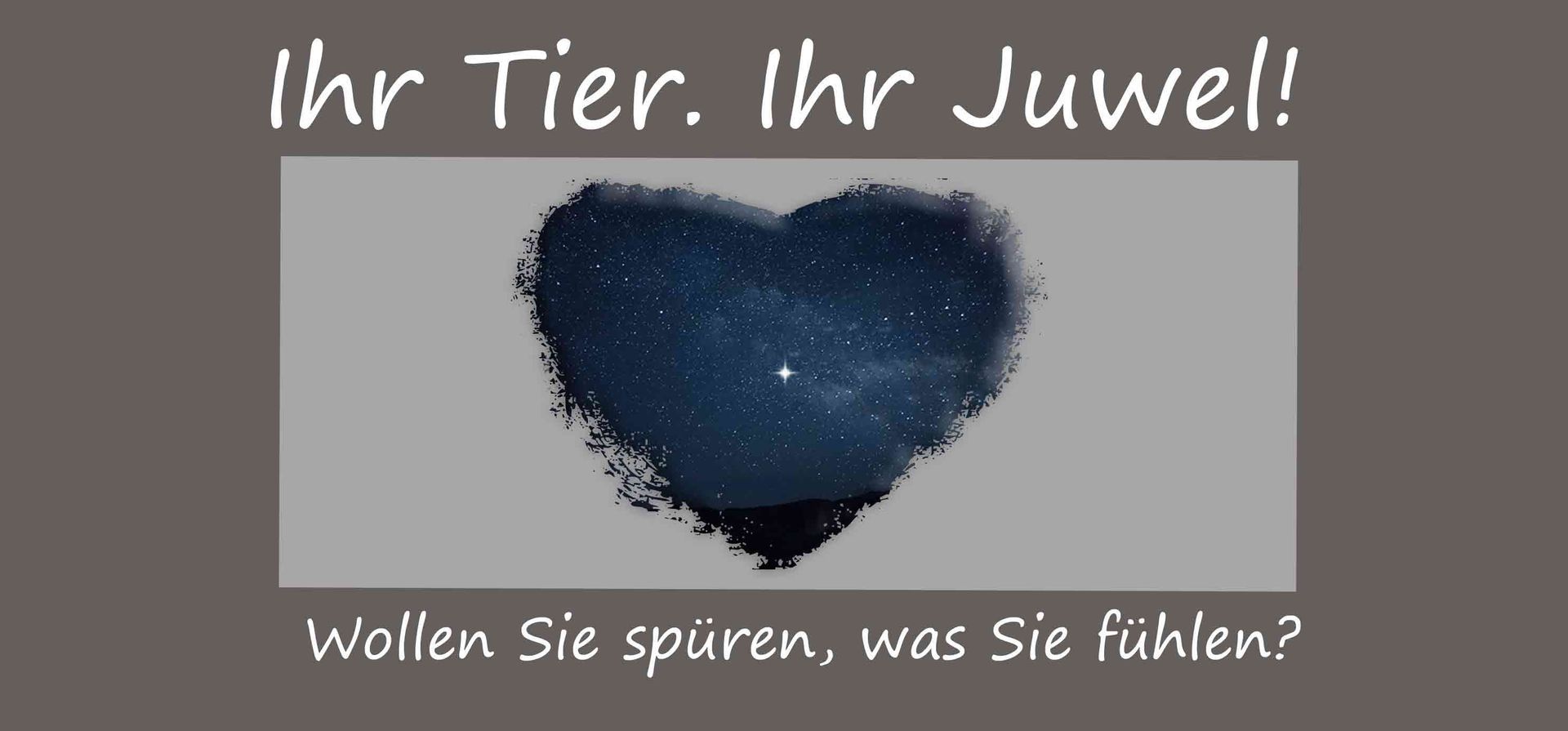 Tierhaarschmuck Gutschein Wunschbild mit symbolischen Wert