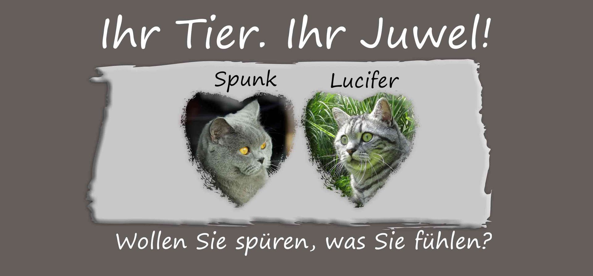 Tierhaarschmuck Gutschein mit Fotos Fellandenken Tierhaarjuwelen