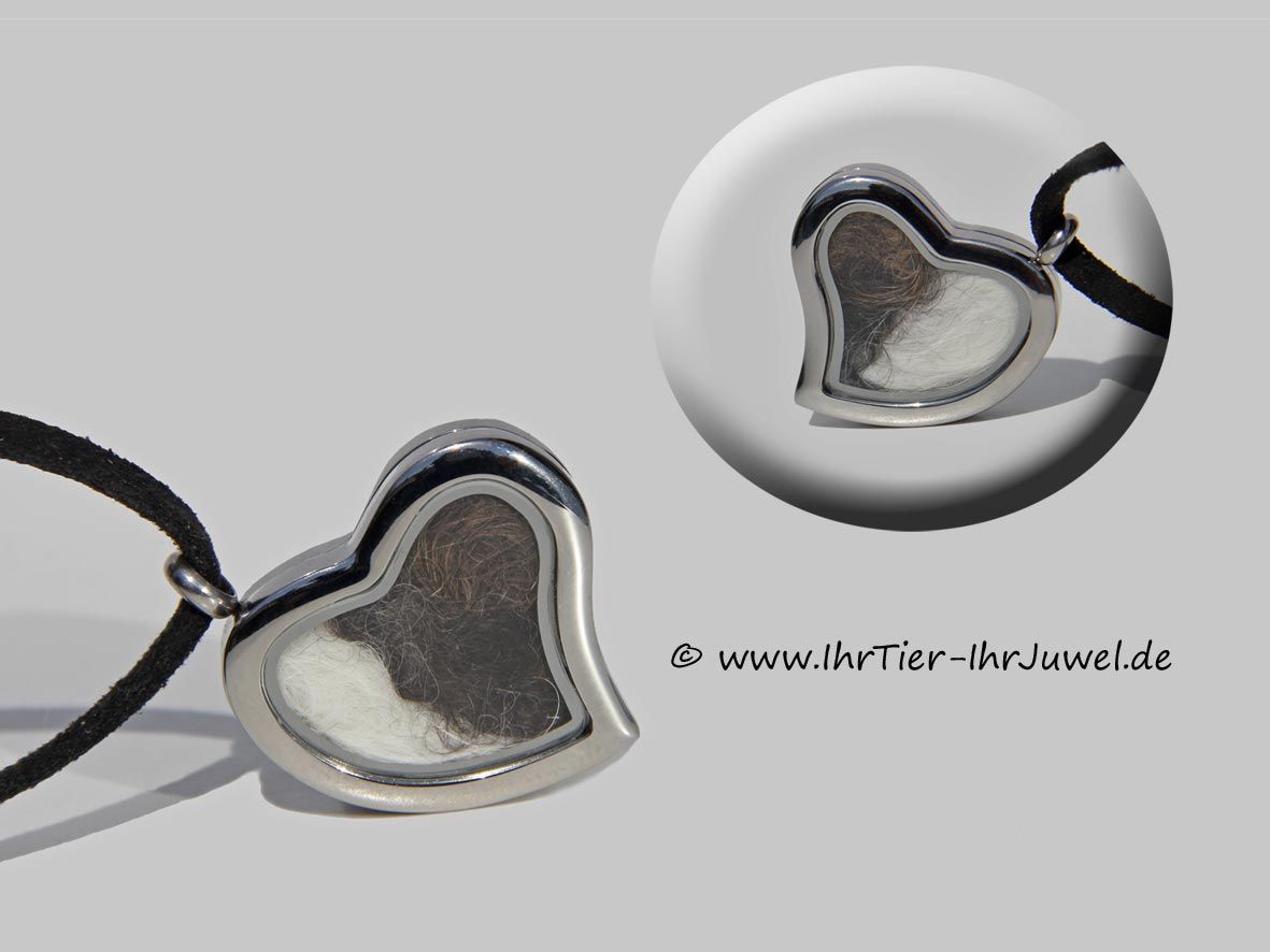 Tierhaarschmuck Herzmedaillon mit Hundehaaren geliebte Hunde