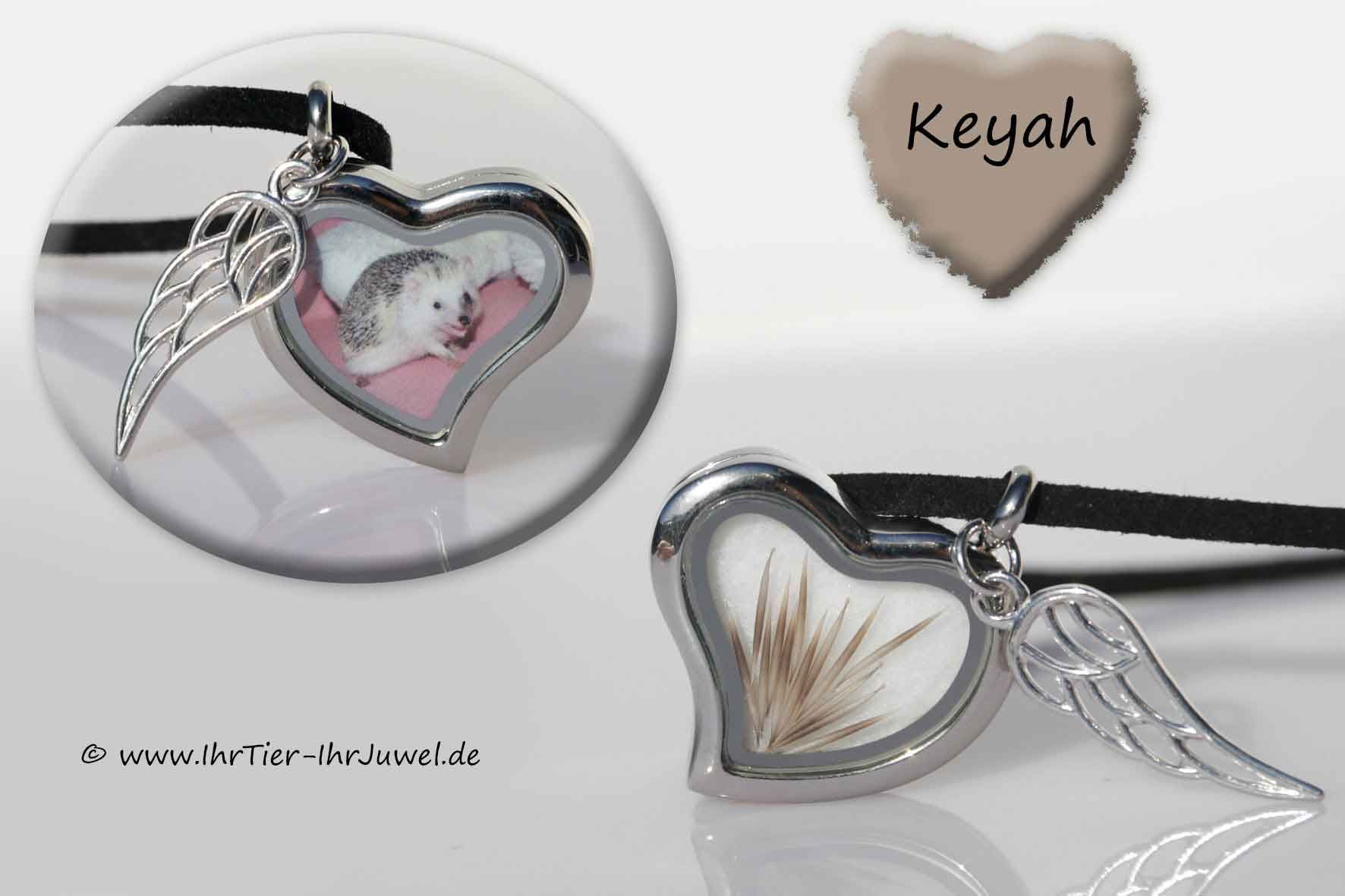 Tierhaarschmuck Herzmedaillon mit Igelstacheln Weißbauchigel Erinnerungsschmuck