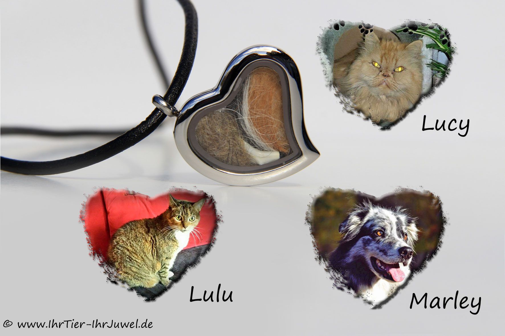 Tierhaarschmuck Herzmedaillon Hund und Katz Zähnchenschmuck