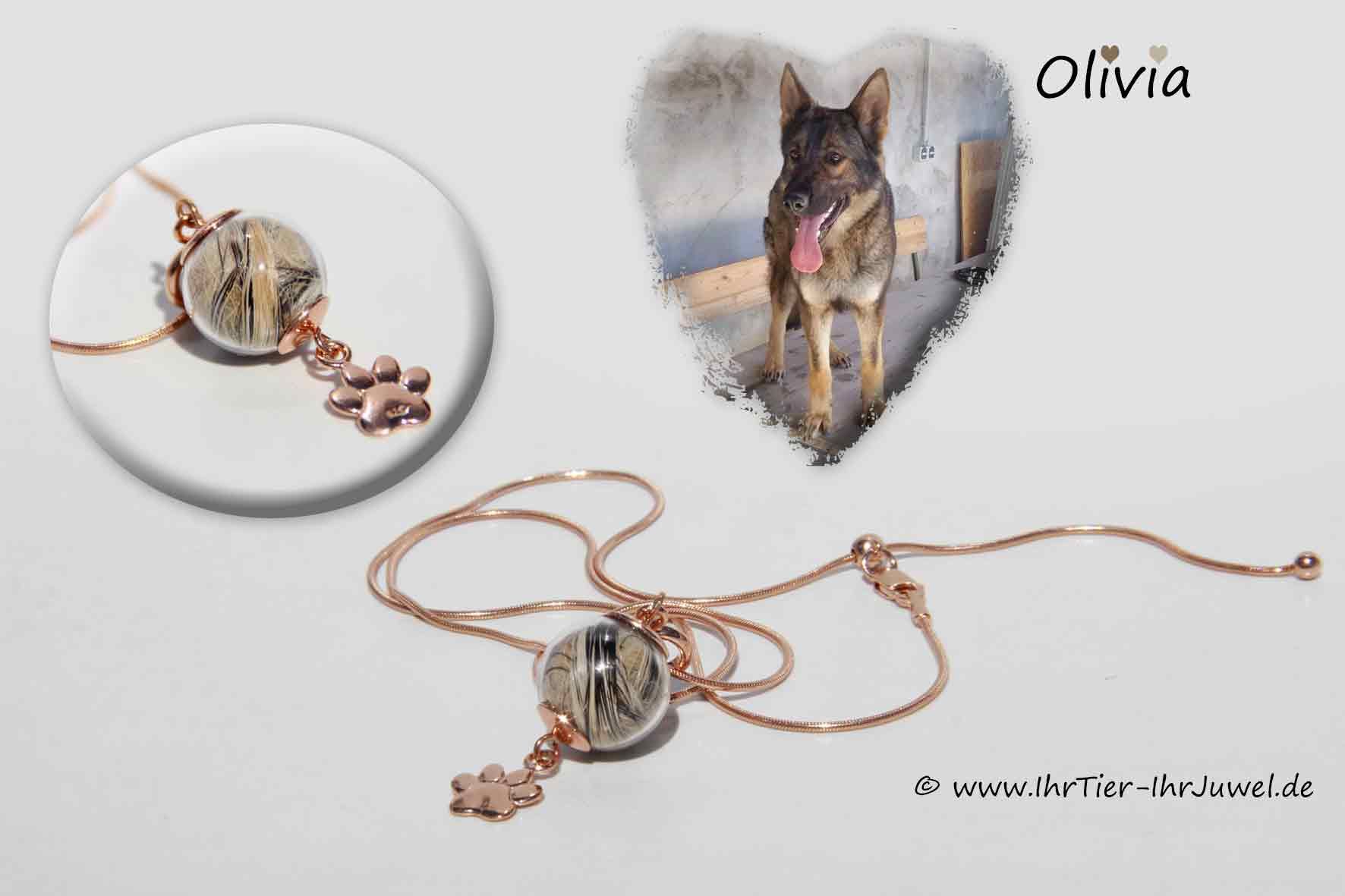 Tierhaarschmuck Kette mit Hundehaaren Pfotenschmuck Tierjuwel