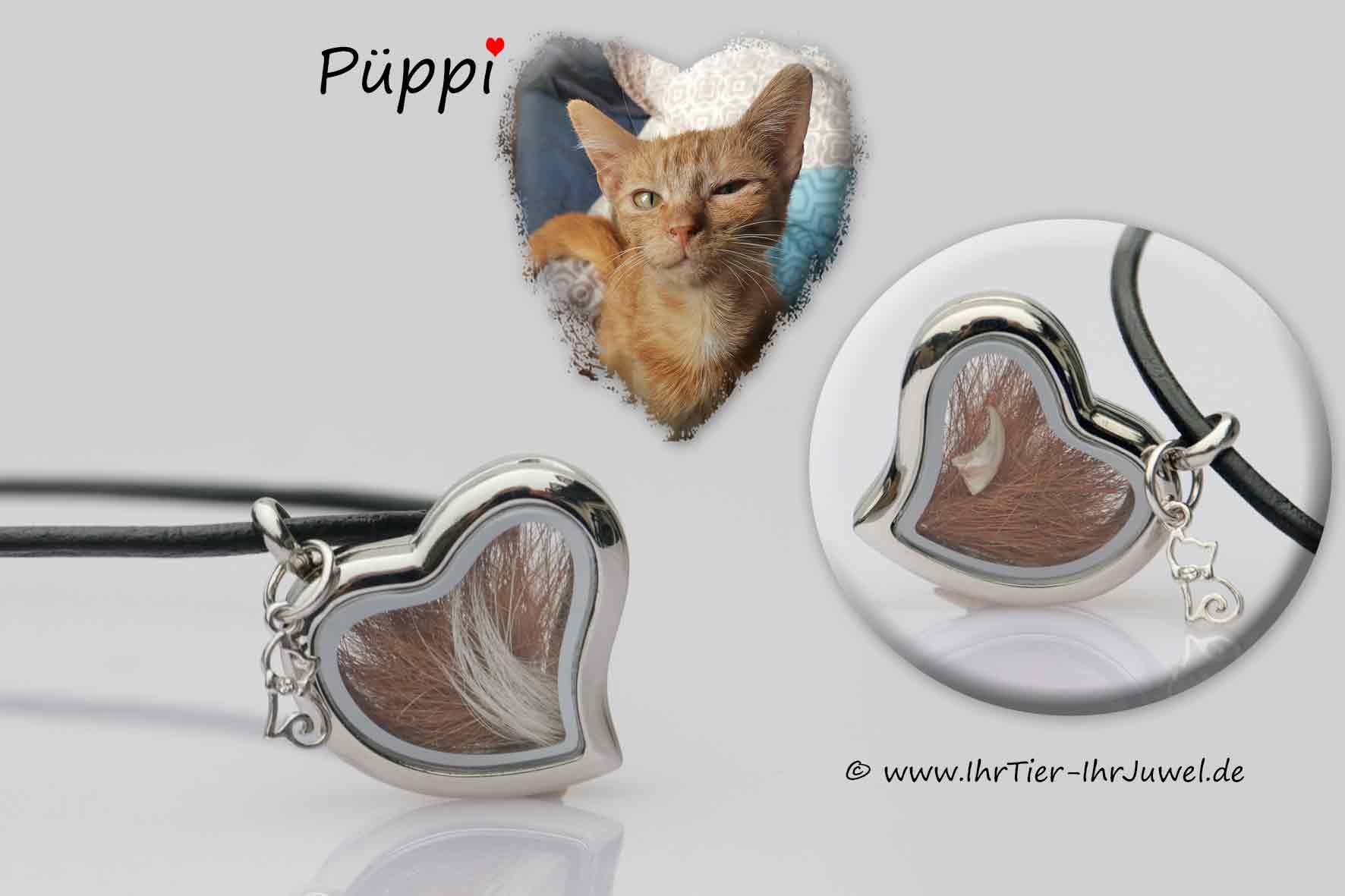 Tierhaarschmuck Kette mit Tierhaaren Herzmedaillon Katzenanhänger
