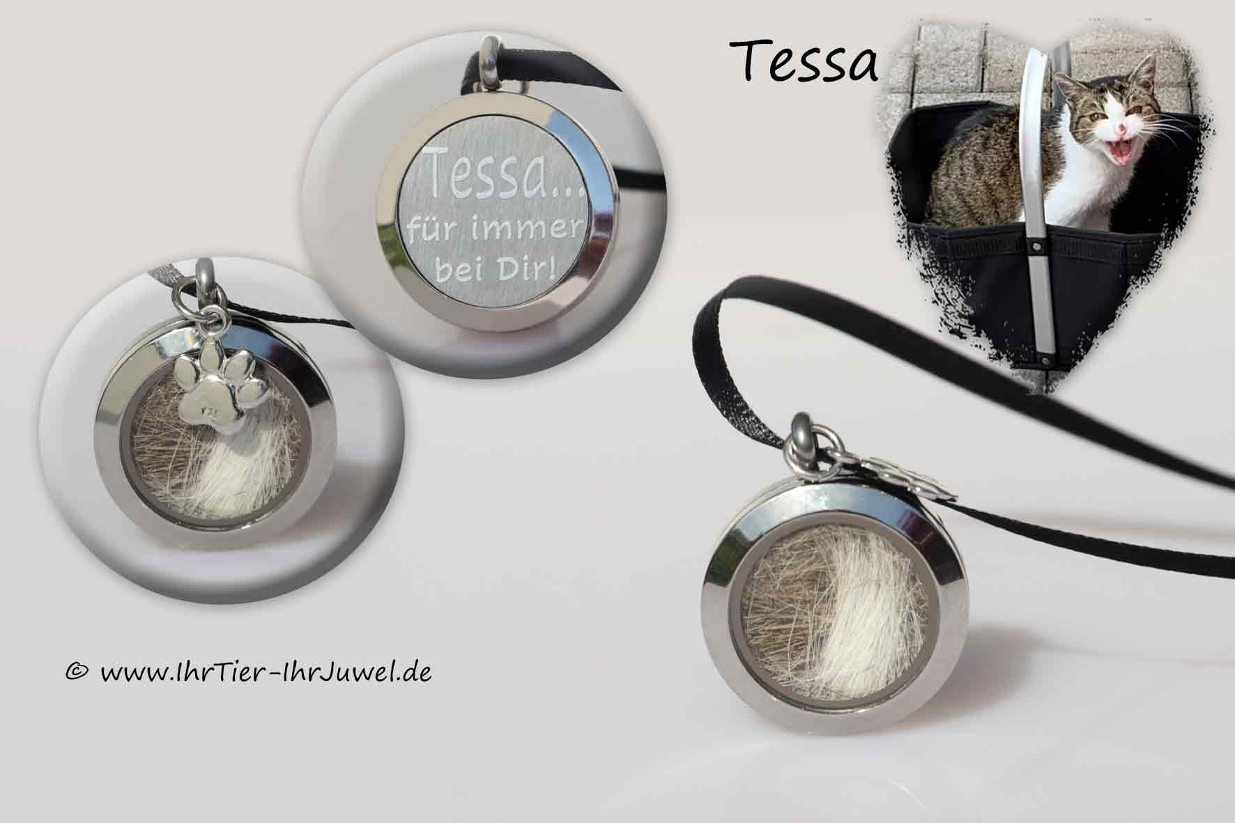 Tierhaarschmuck Medaillon Pfotenschmuck Gravurschmuck Fellandenken