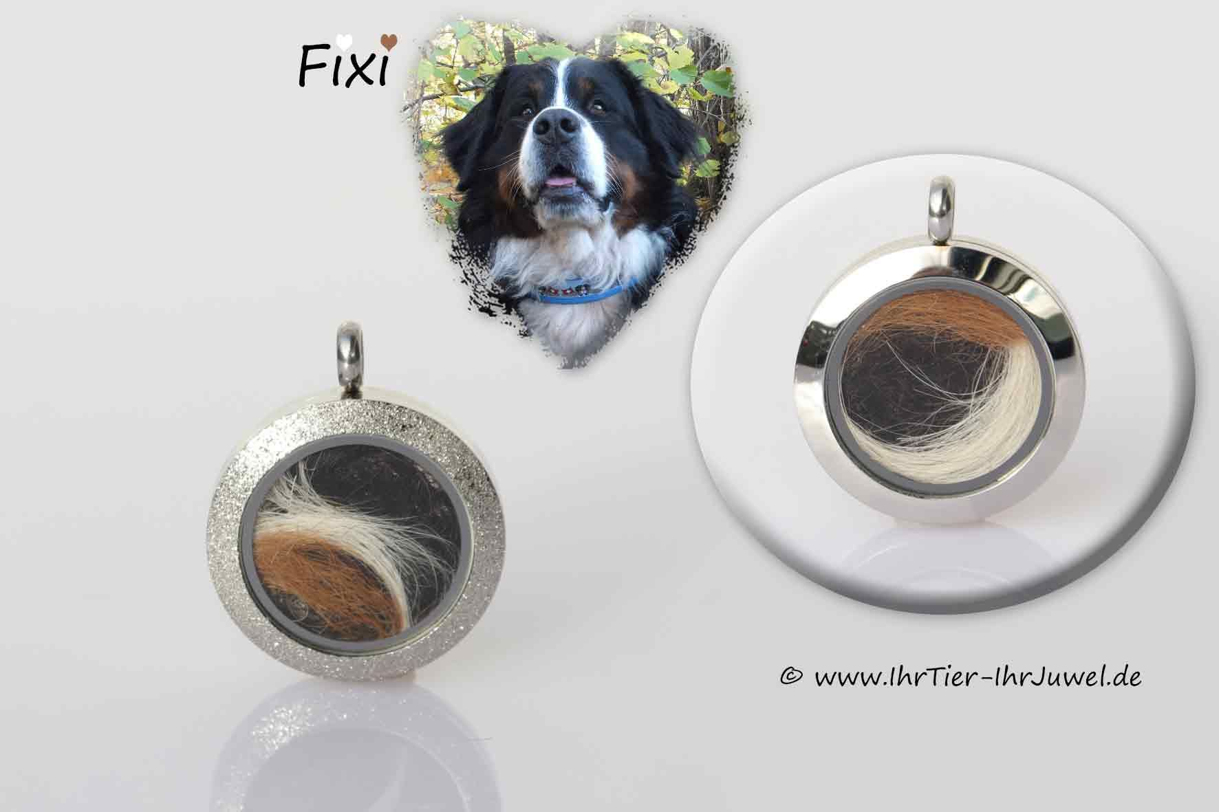 Tierhaarschmuck Medaillon mit Hundehaaren Felljuwelen Tierschmuck