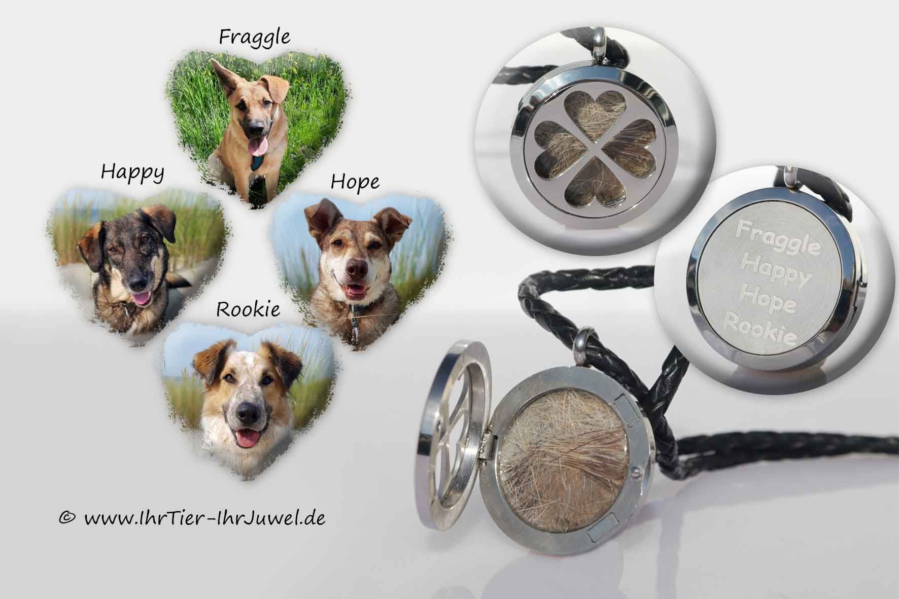 Tierhaarschmuck Medaillon mit Hundehaaren Kleeblattschmuck Fellandenken