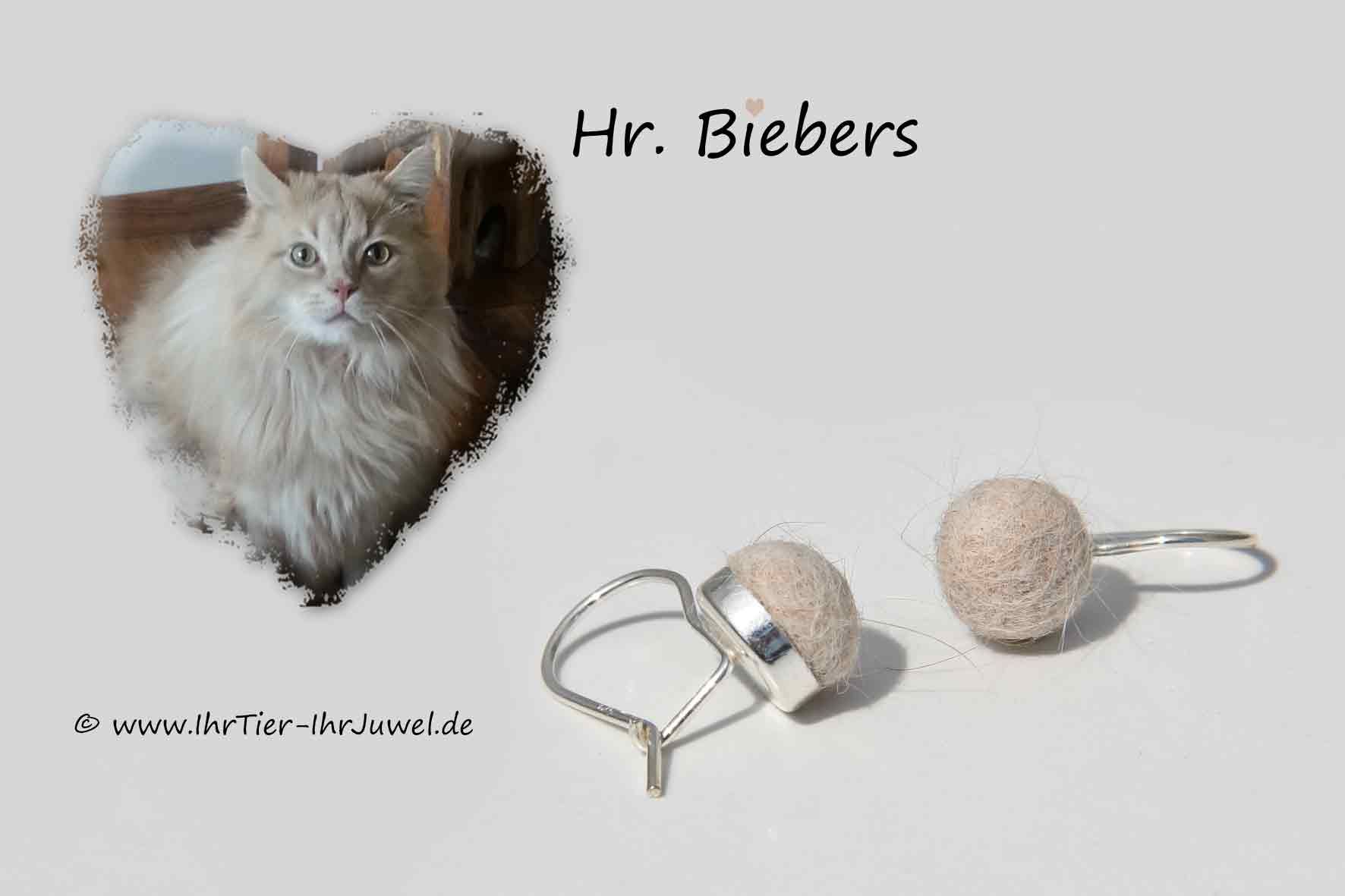 Tierhaarschmuck Ohrringe mit Katzenhaaren Felljuwelen