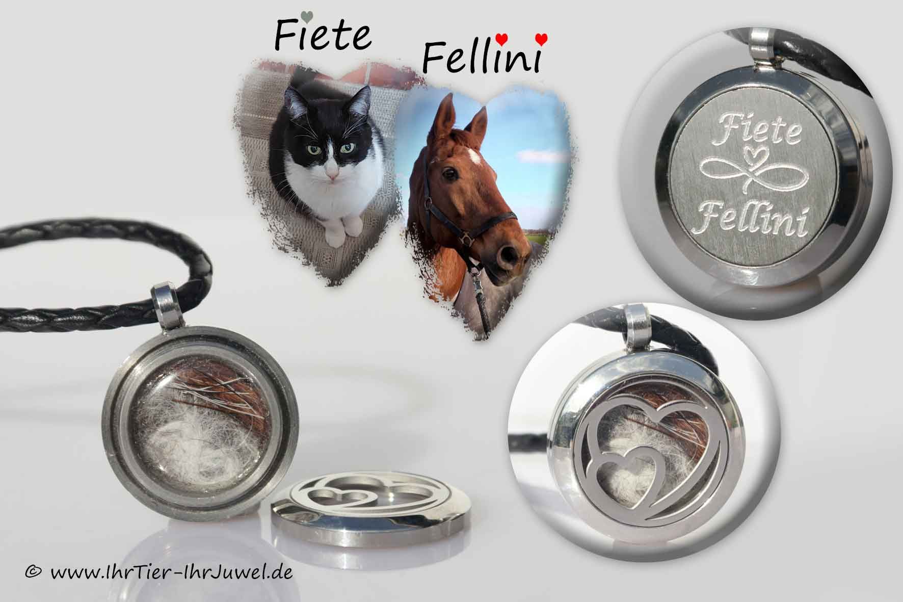 Tierhaarschmuck Pferd und Katze Fellandenken Gravurschmuck