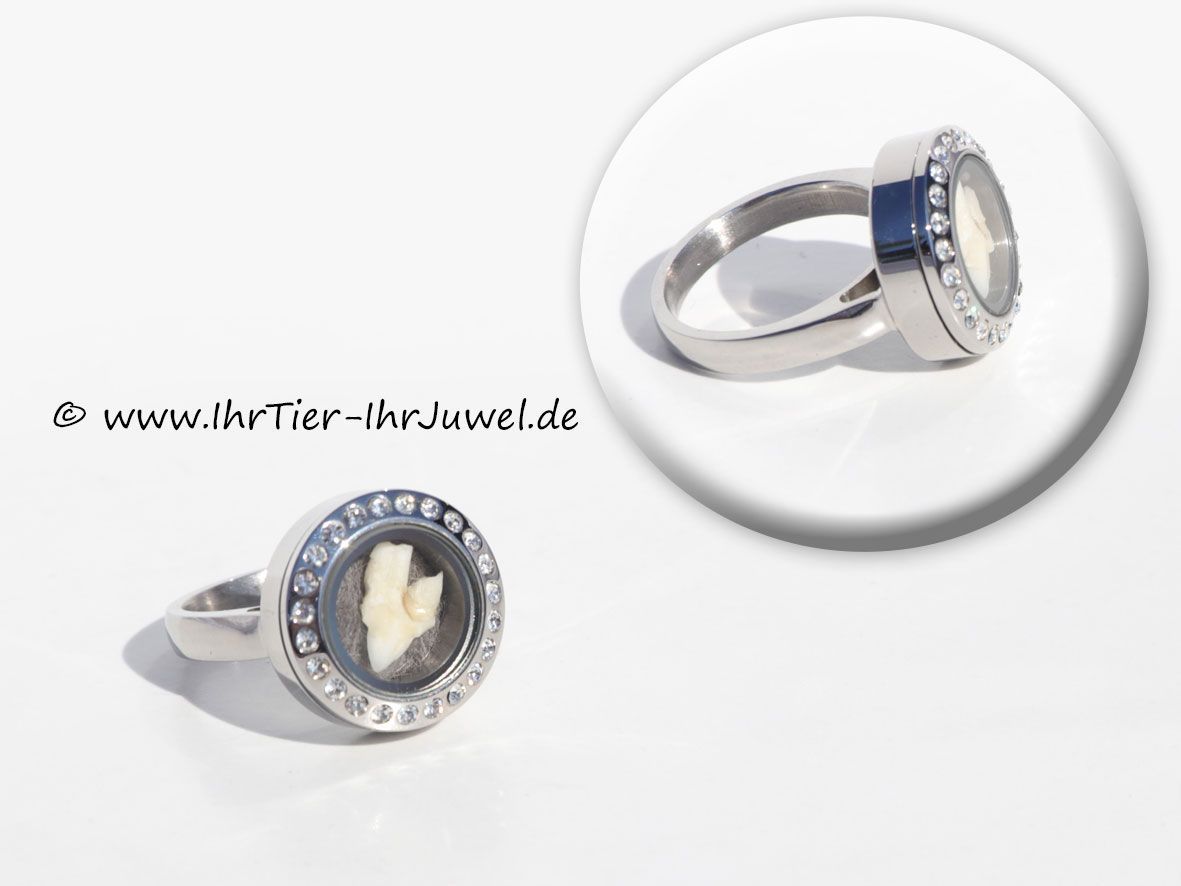 Tierhaarschmuck Ring mit Haaren und Zähnchen Medaillonring