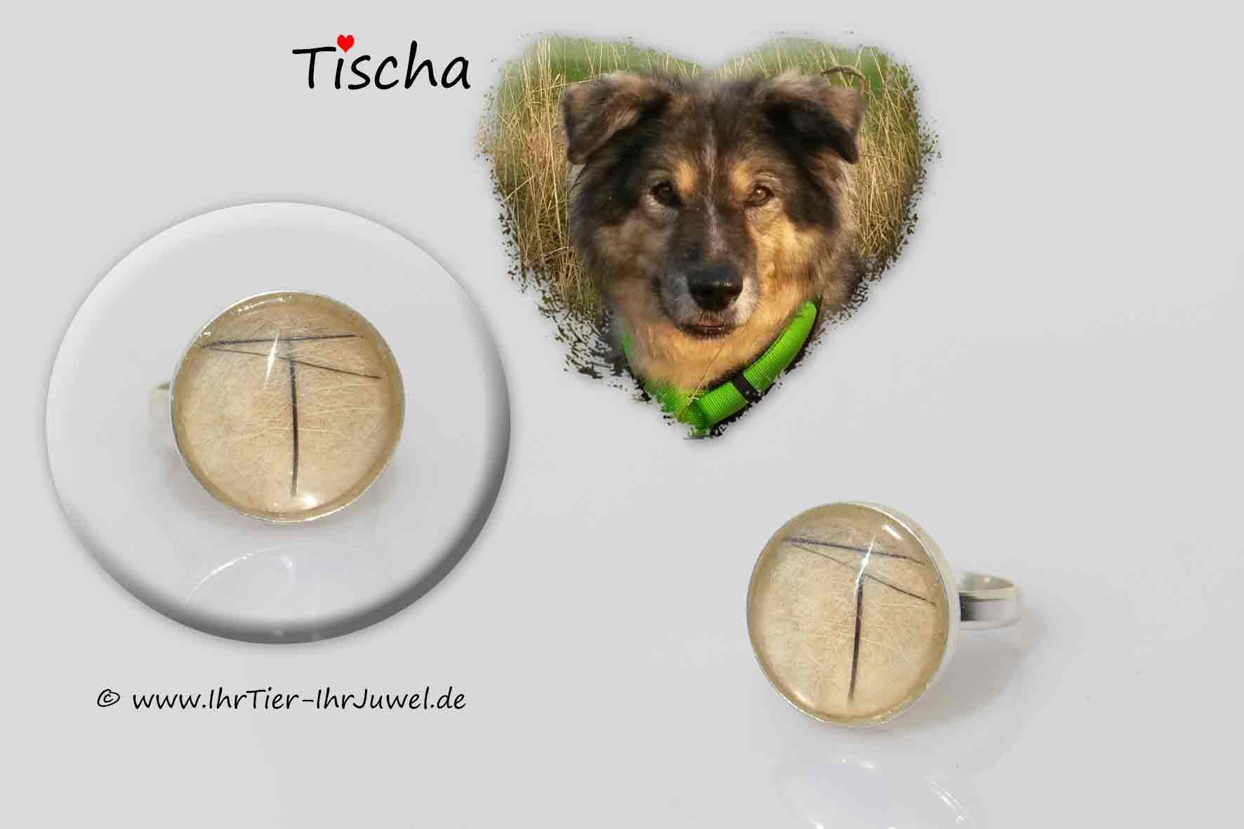 Tierhaarschmuck Ring mit Hundehaaren Initialschmuck Erinnerungsschmuck