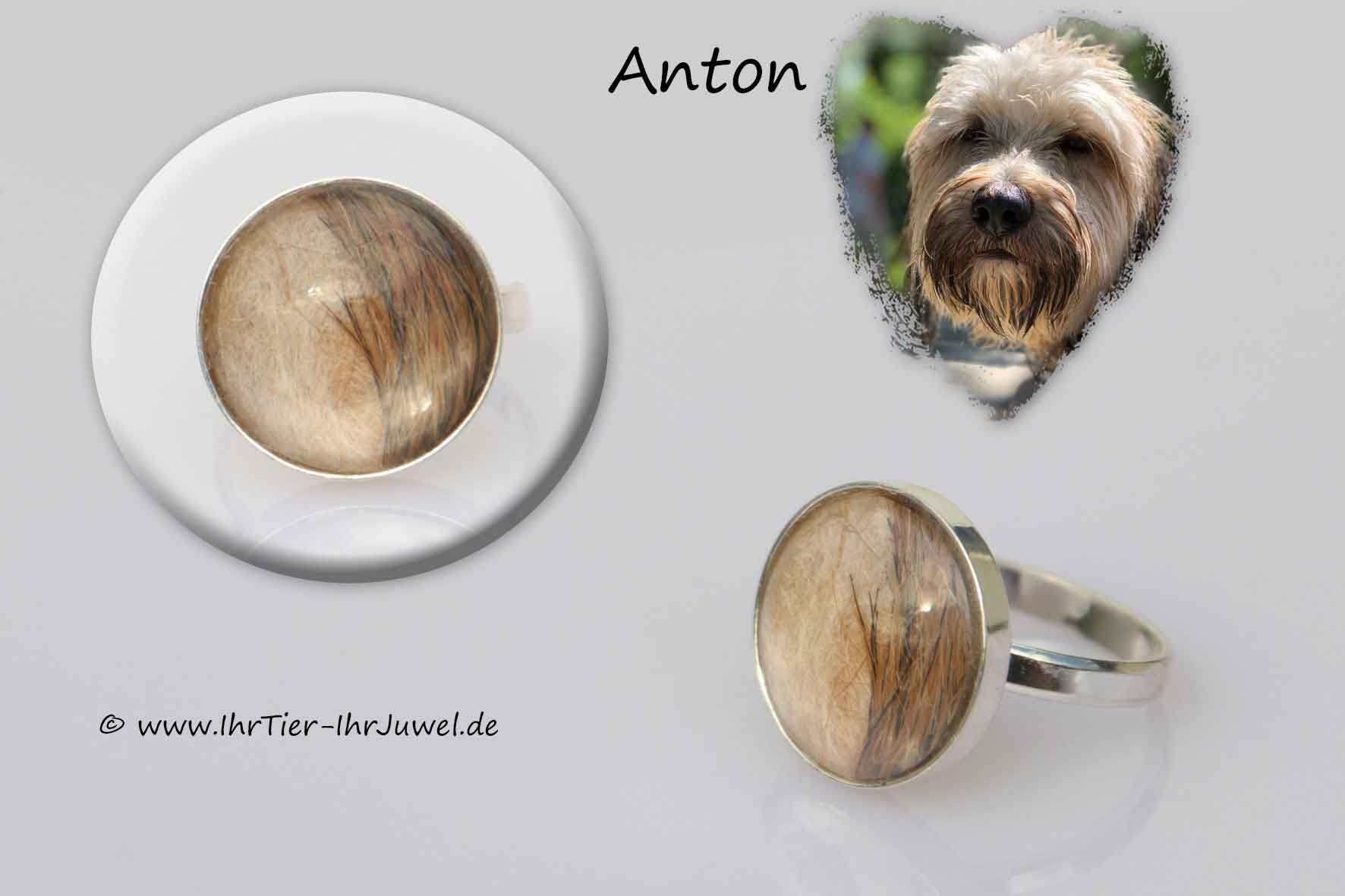 Tierhaarschmuck Ring mit Hundehaaren Tierjuwelen Hundehaarschmuck
