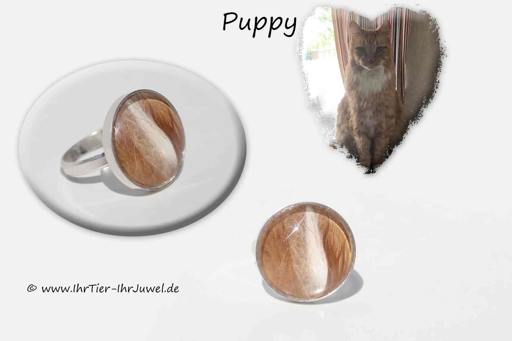 Tierhaarschmuck Ring mit Katzenhaaren geliebte Katze