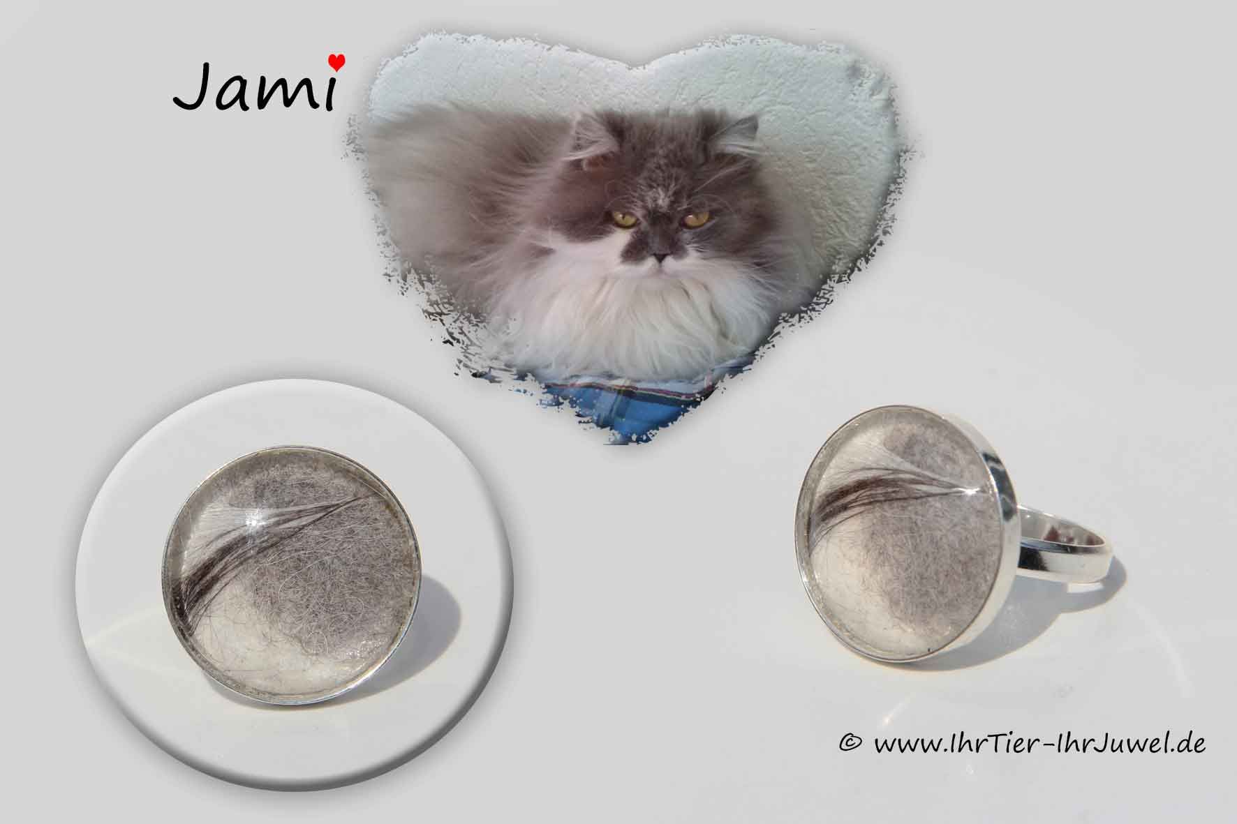 Tierhaarschmuck Ring mit Tierhaaren geliebte Katze