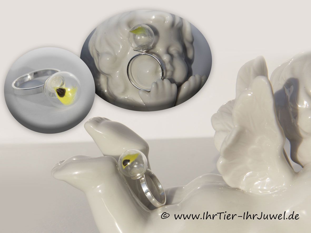 Tierhaarschmuck Ring mit Vogelfeder Wellensittich Tierjuwel