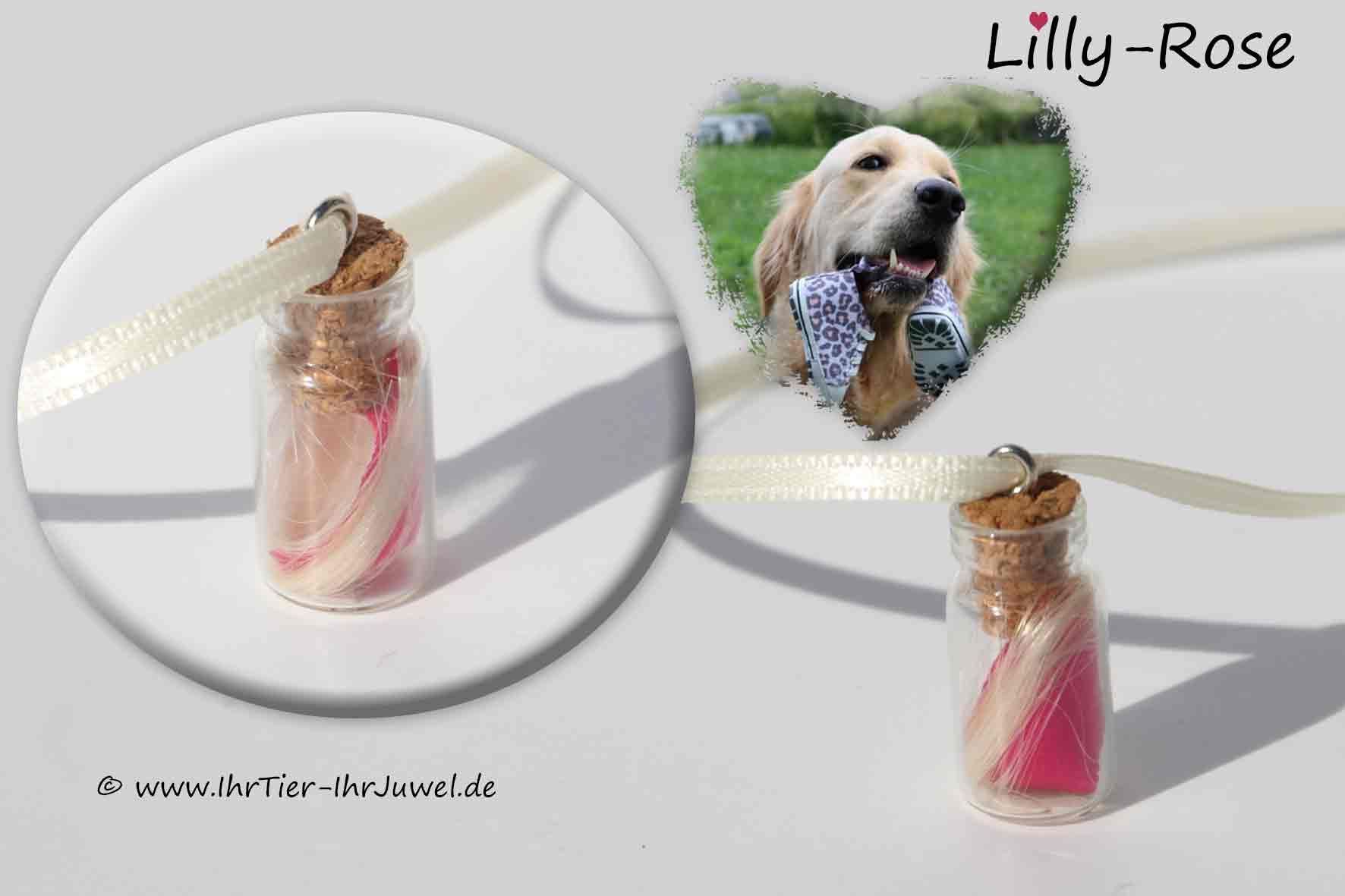 Tierhaarschmuck Schmuck mit Welpenband Erinnerungen aufbewahren