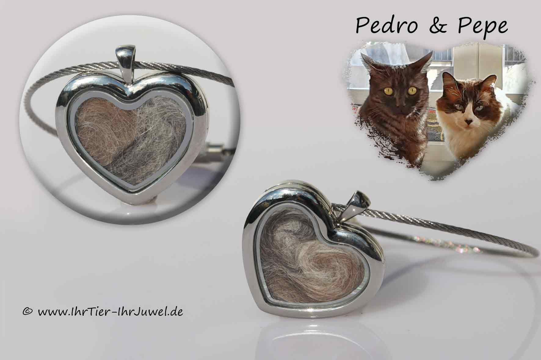 Tierhaarschmuck geliebte Katze Herzmedaillon Fellandenken