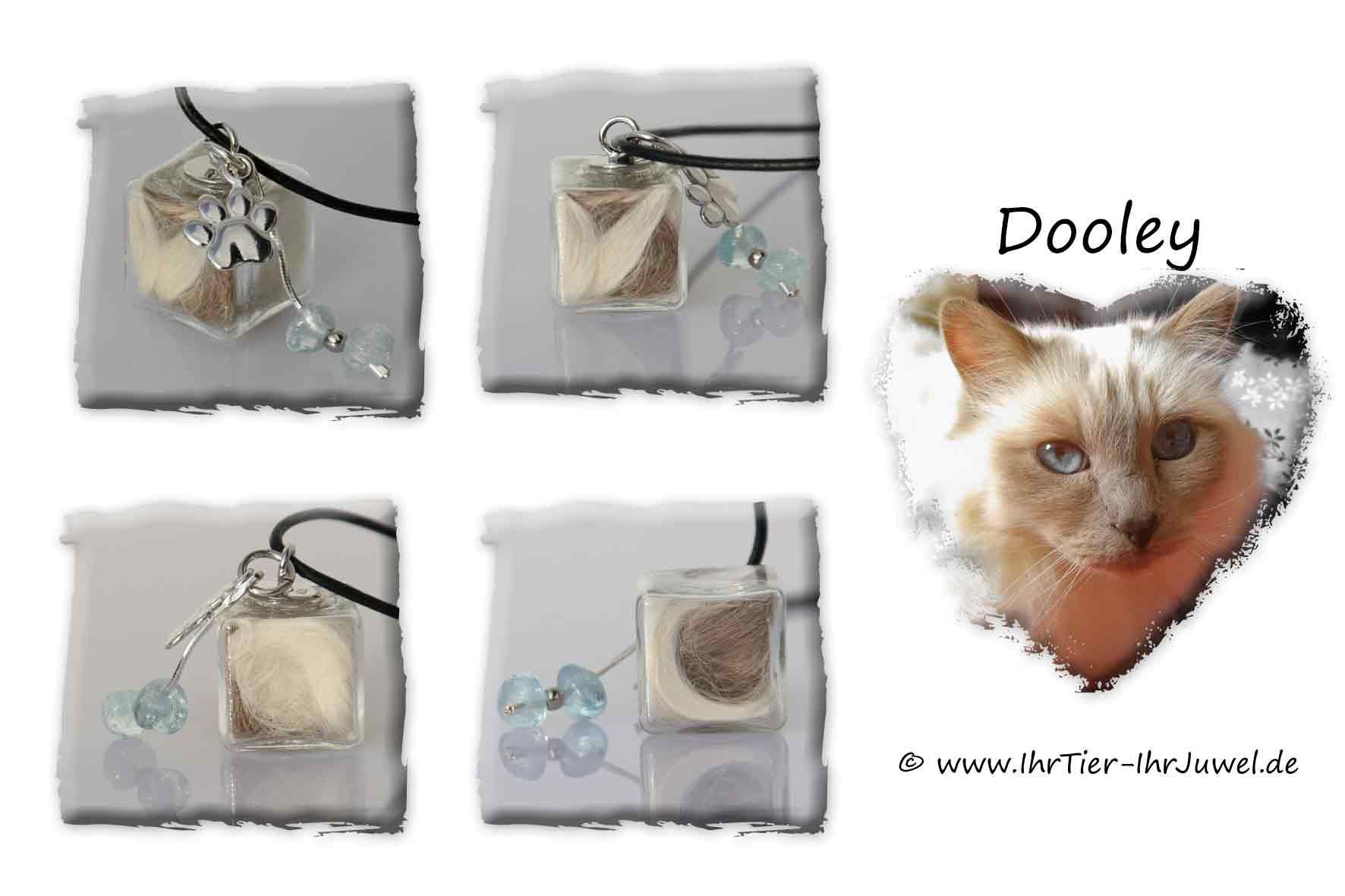 Erinnerung an verstorbenes Haustier Ring mit Hundehaaren