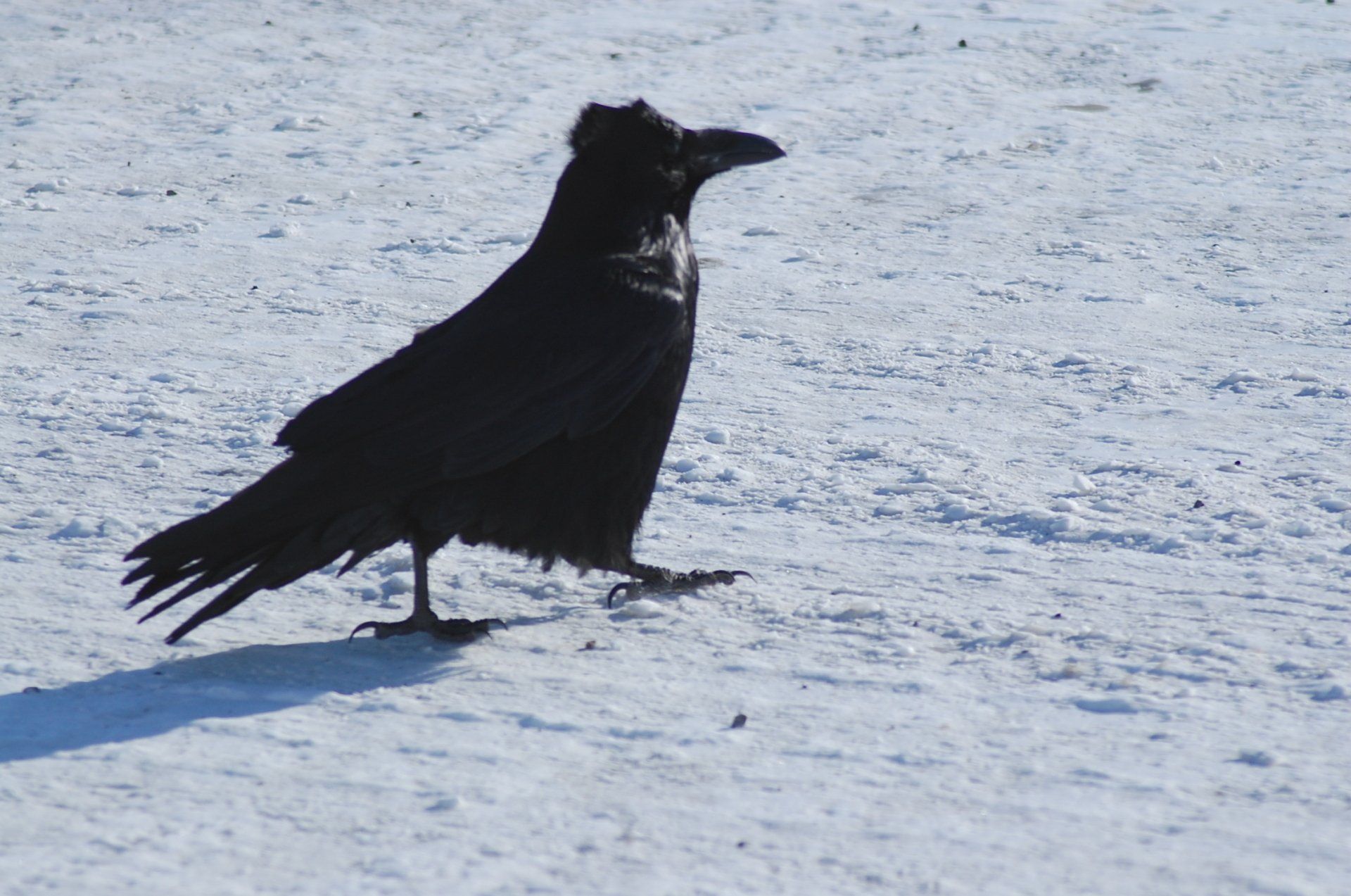 Insider travel photos