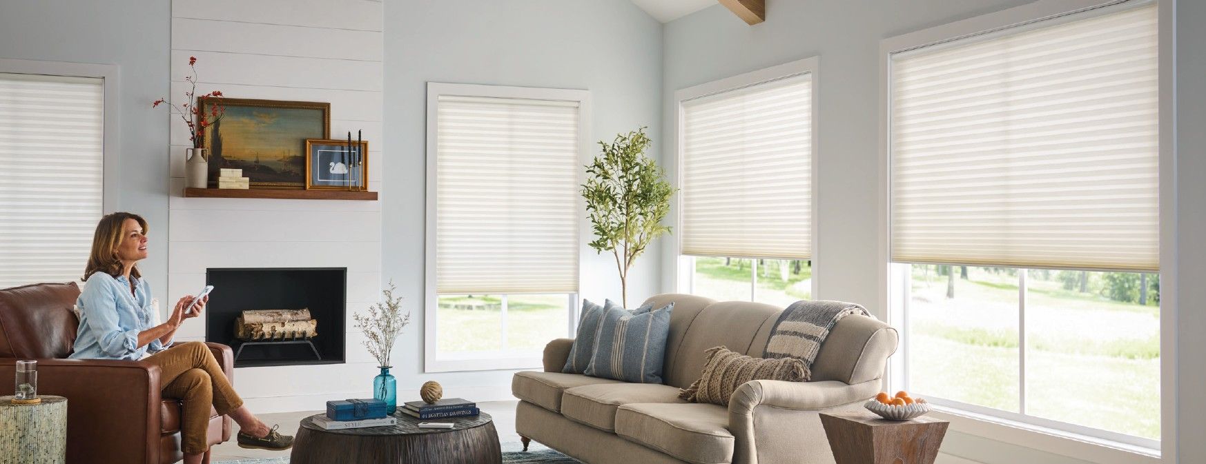 Alta honeycomb shades in the living room