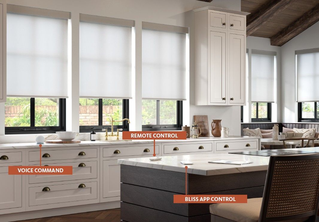 Lutron Motorized Horizontal Sheer Blinds Lutron Motorized Shades - Transitional livingroom