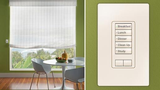 Lutron control for motorized roman shade