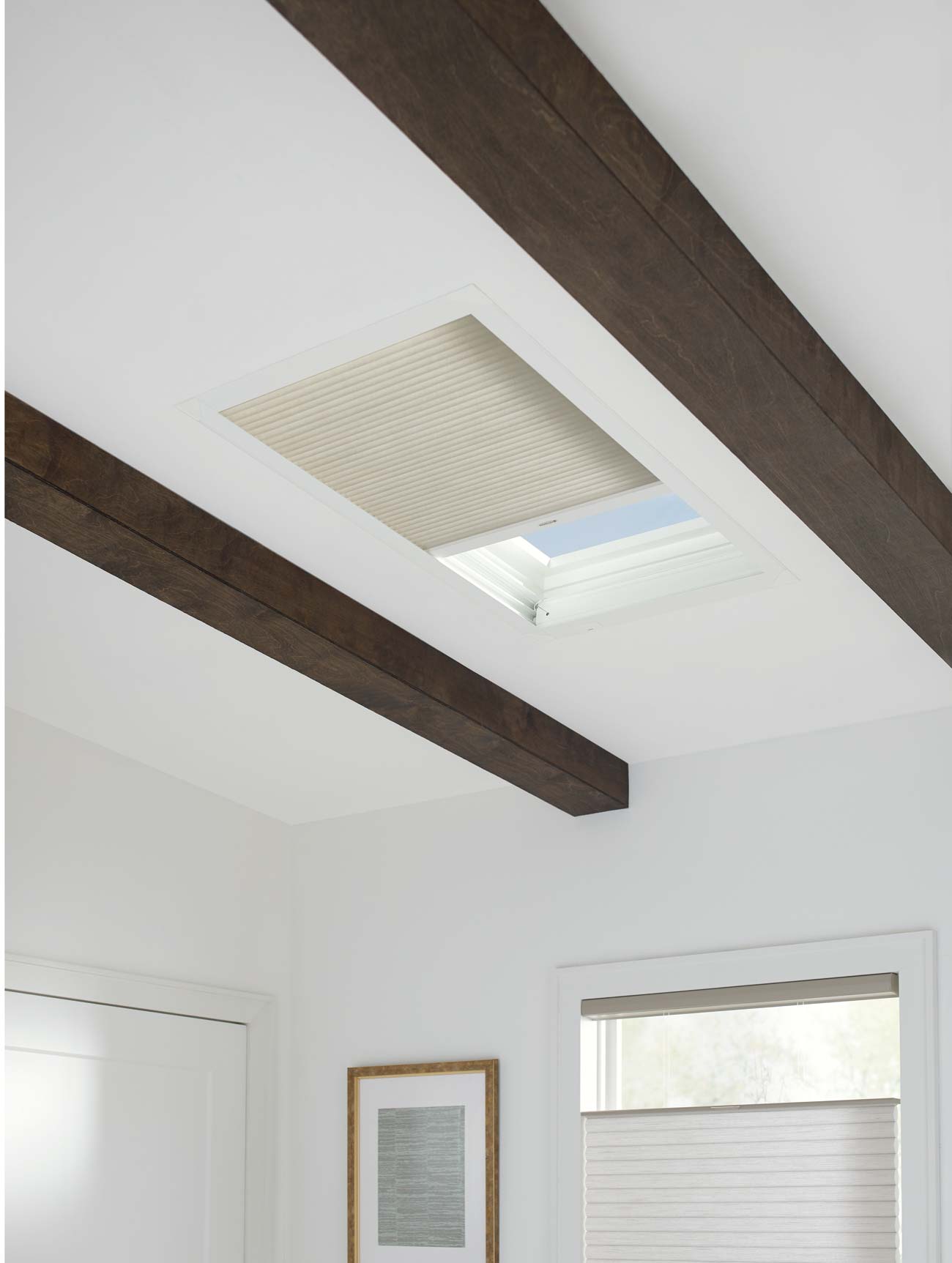 Hunter Douglas Duette Honeycomb Skylight Shade