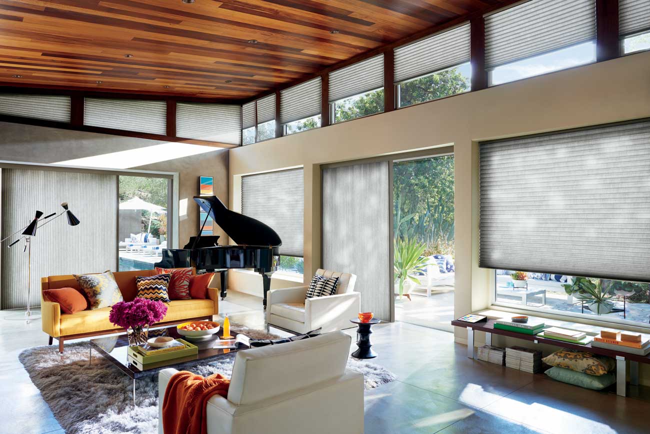 Duette® Honeycomb Shades - Trapezoid Windows - Living Room - Contemporary - Hunter Douglas