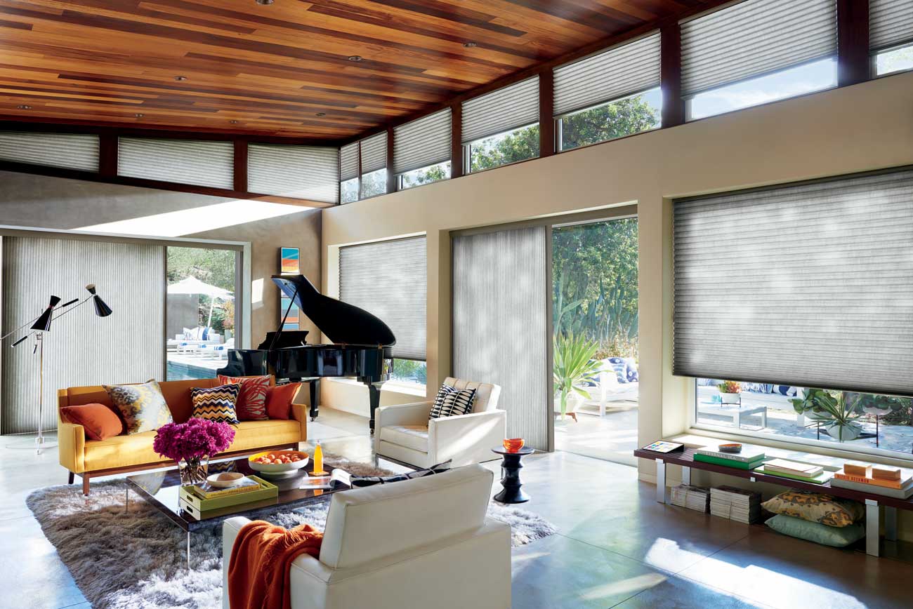 Duette® Honeycomb Shades - Living Room - Eclectic Modern - Hunter Douglas