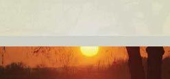 Lutron Palladiom Roller Shade Translucent Fabric Irvine