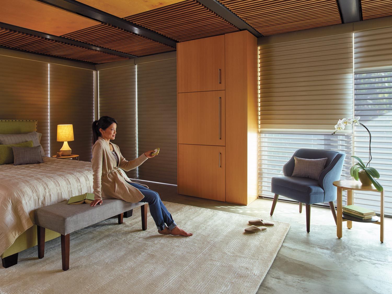 Duette Honeycomb Shades - Living Room - Hunter Douglas Newport Beach