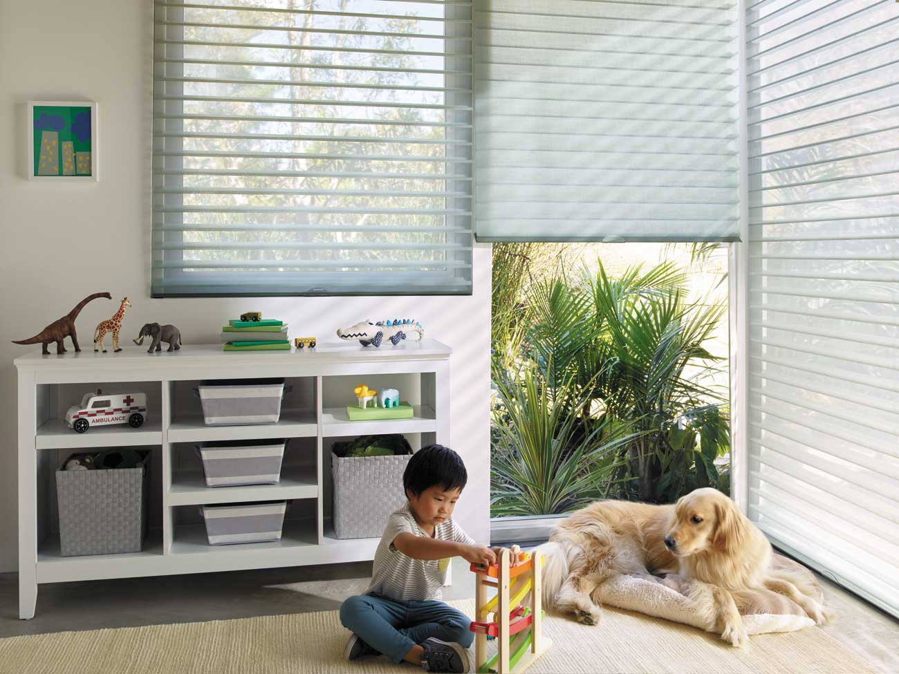 Nantucket Window Shades - Boy Kidsroom - Modern - Hunter Douglas
