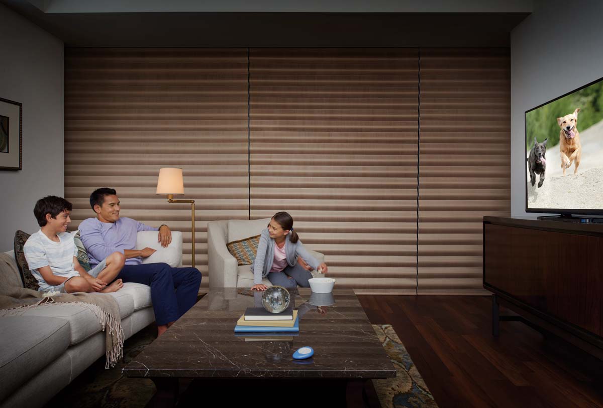 Hunter Douglas Pirouette Horizontal Sheer Shades Blackout Livingroom Irvine