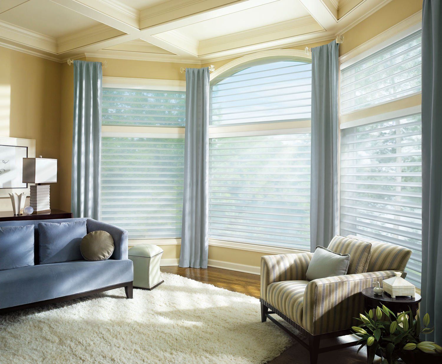 Hunter Douglas Silhouette Horizontal Sheer Shades Traditional Bedroom Arch Window Irvine