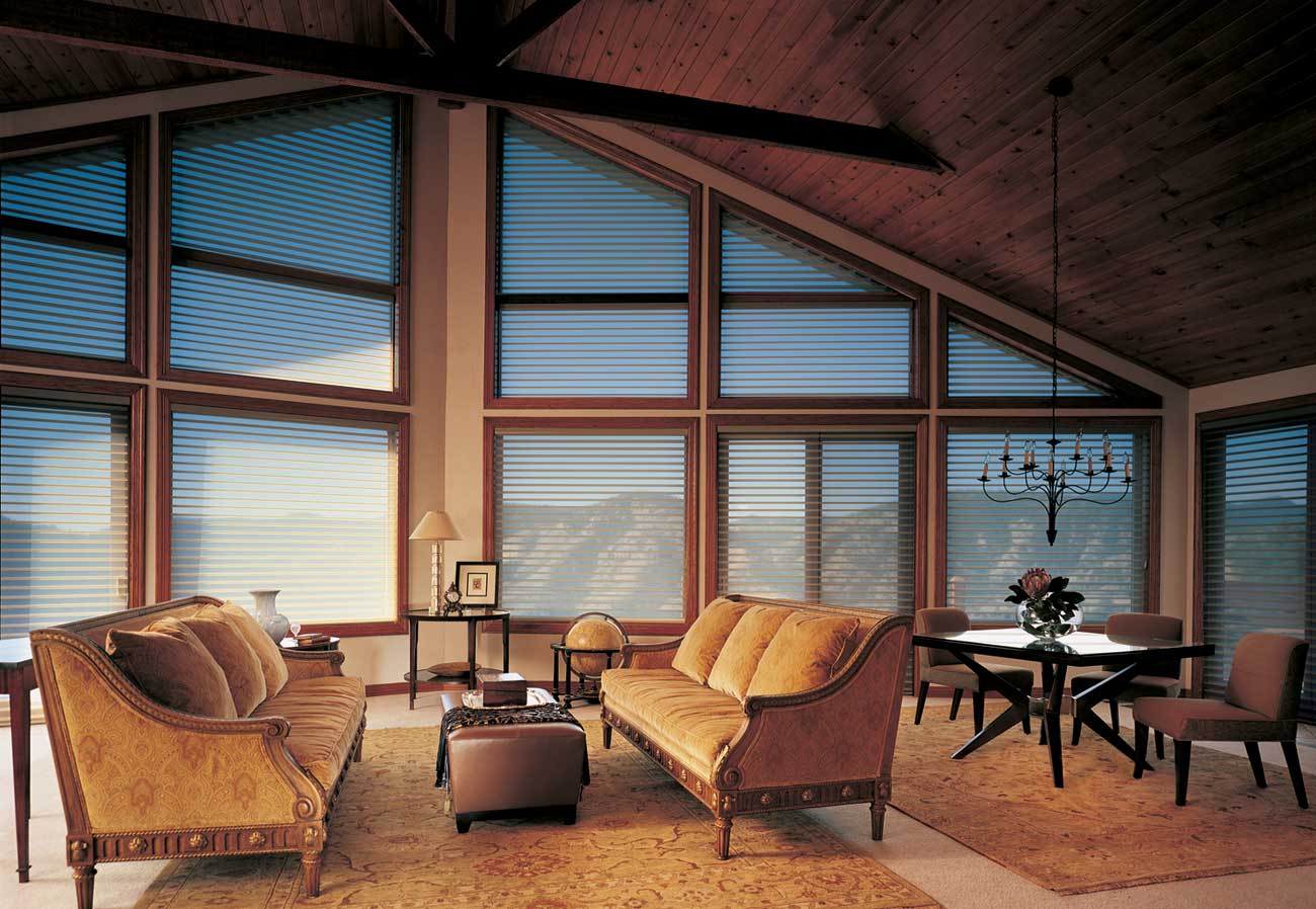 Silhouette® Window Shades - Trapezoid Windows - Living Room - Rustic - Hunter Douglas