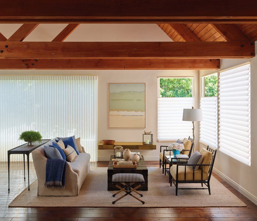 Hunter Douglas Vignette Modern Roman Shades Hunter Douglas Vignette Modern Roman Shades Contemporary Living Room Irvine