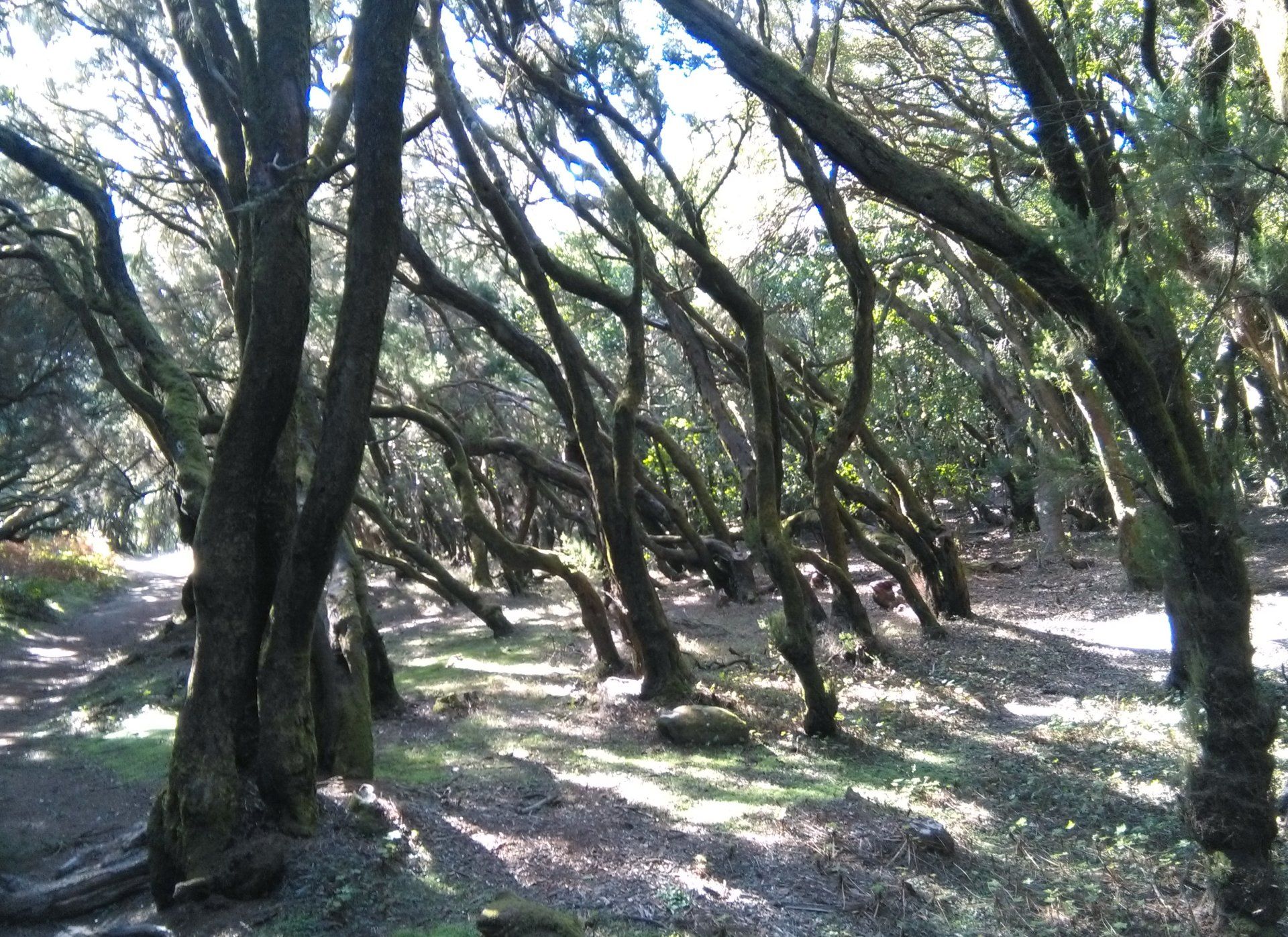 Claudia Paul, Yoga, La Gomera, Wandern, Wiesbaden