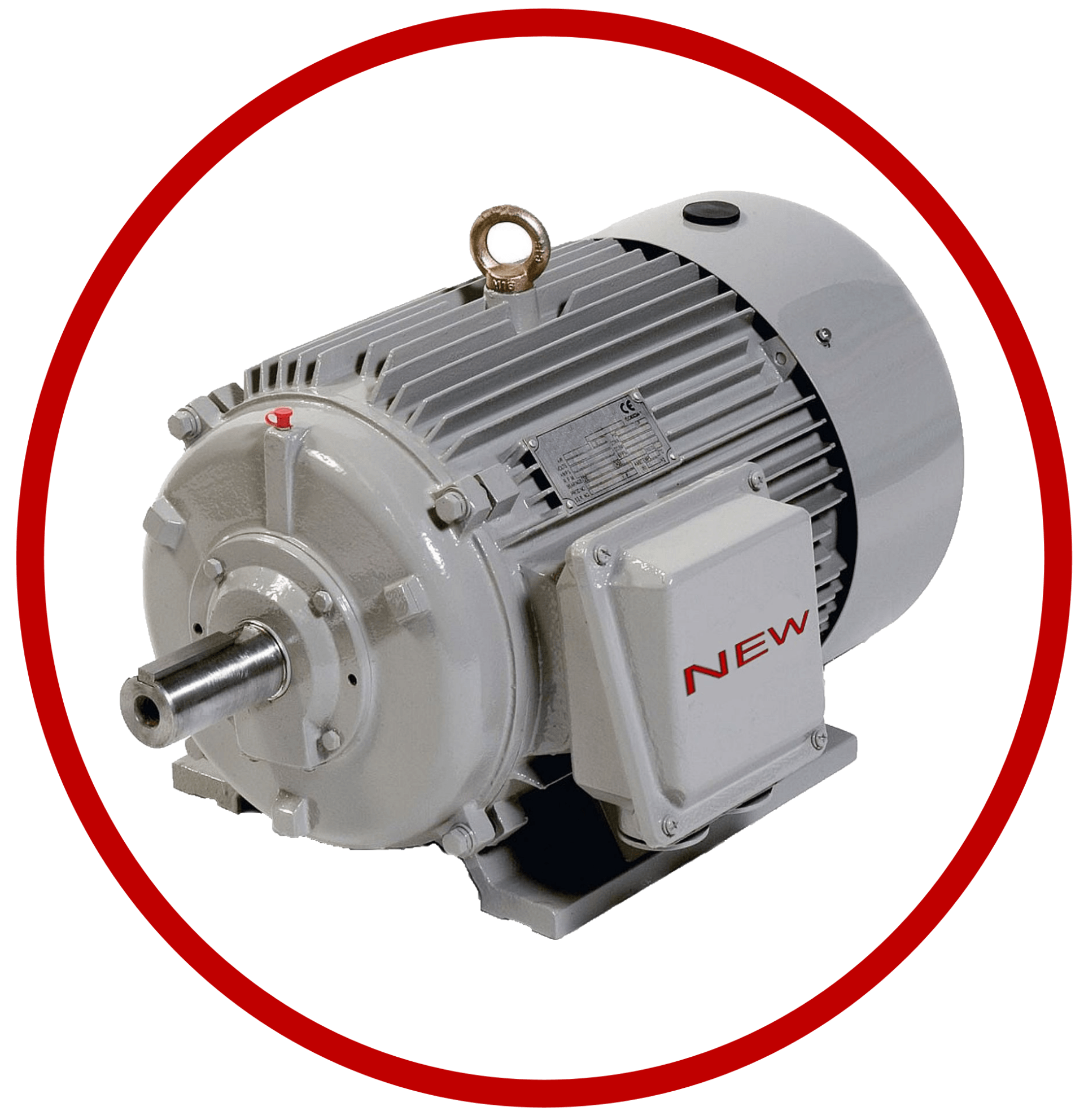Electric Motor Sales and Repairs