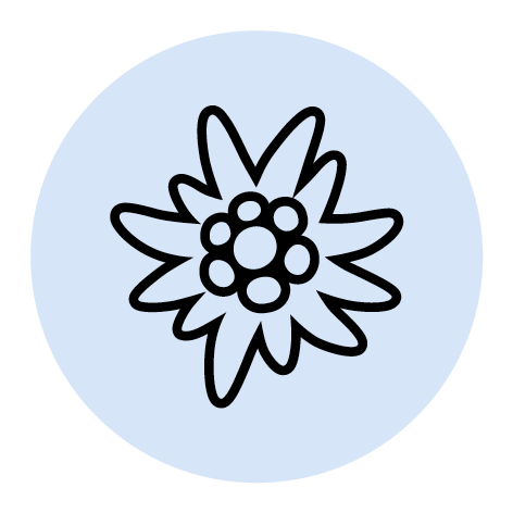 Wir unterstützen und betreuen die einzelnen Sektionen während des ganzen Prozesses und planen zusammen mit dem Organisationsteam die nächsten Schritte, um inklusive Gruppen fest in das Sektionsgeschehen mit einzubauen.