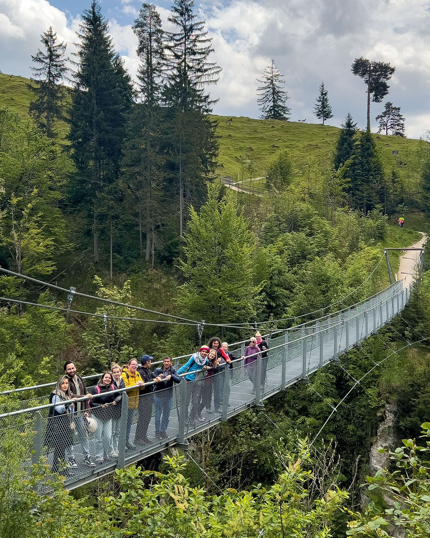 Eine Gruppe von neun Personen steht auf einer Hängebrücke aus Metall, umgeben von Bäumen und Hügeln. Im Hintergrund sind Wanderwege und weitere Bäume sichtbar.