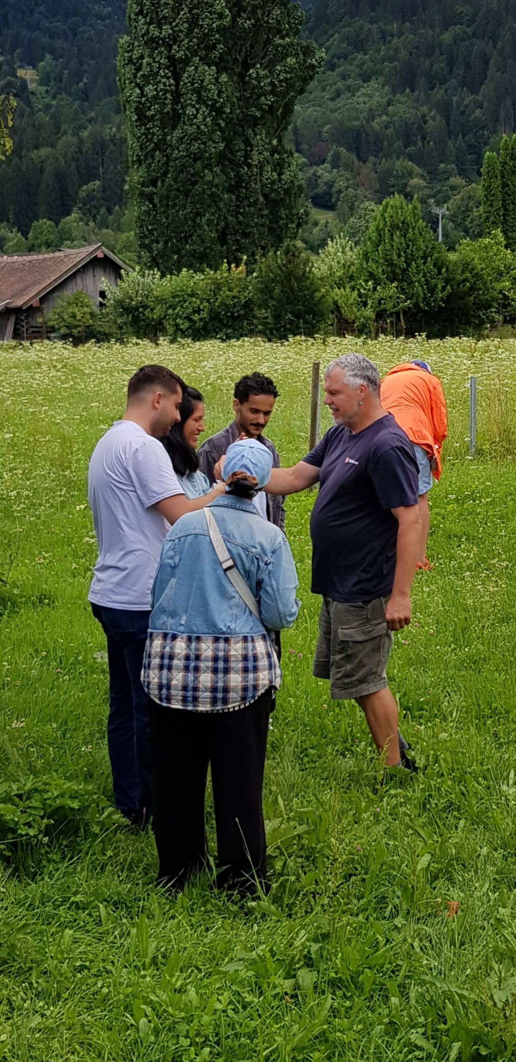 Vier Personen stehen auf einer grünen Wiese mit Bäumen und Bergen im Hintergrund. Sie begutachten etwas.