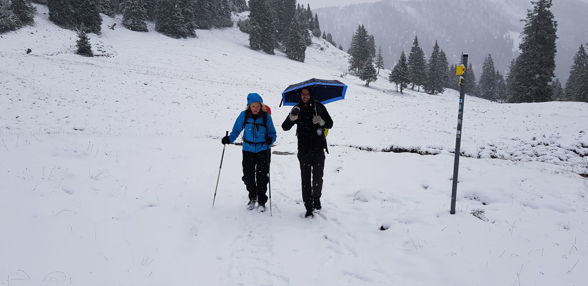 Zwei Personen mit Winterkleidung und Wanderstöcken gehen bei Schneefall auf einem verschneiten Weg in bergiger Landschaft mit Nadelbäumen.
