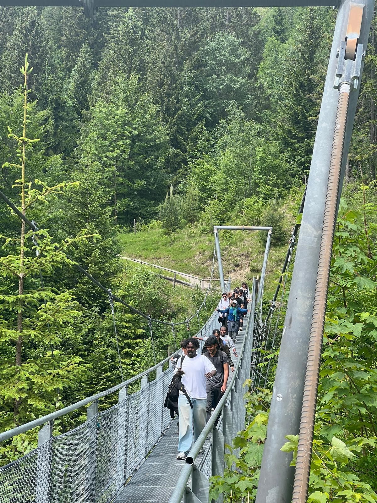Eine Gruppe von Menschen überquert eine schmale Hängebrücke aus Metall, die durch ein dicht bewaldetes Tal führt. Die Brücke ist seitlich mit Gittern gesichert und von Stahlseilen gehalten. Im Hintergrund sind hohe Nadelbäume und grüne Vegetation zu sehen. Die Personen gehen hintereinander und tragen Freizeitkleidung.