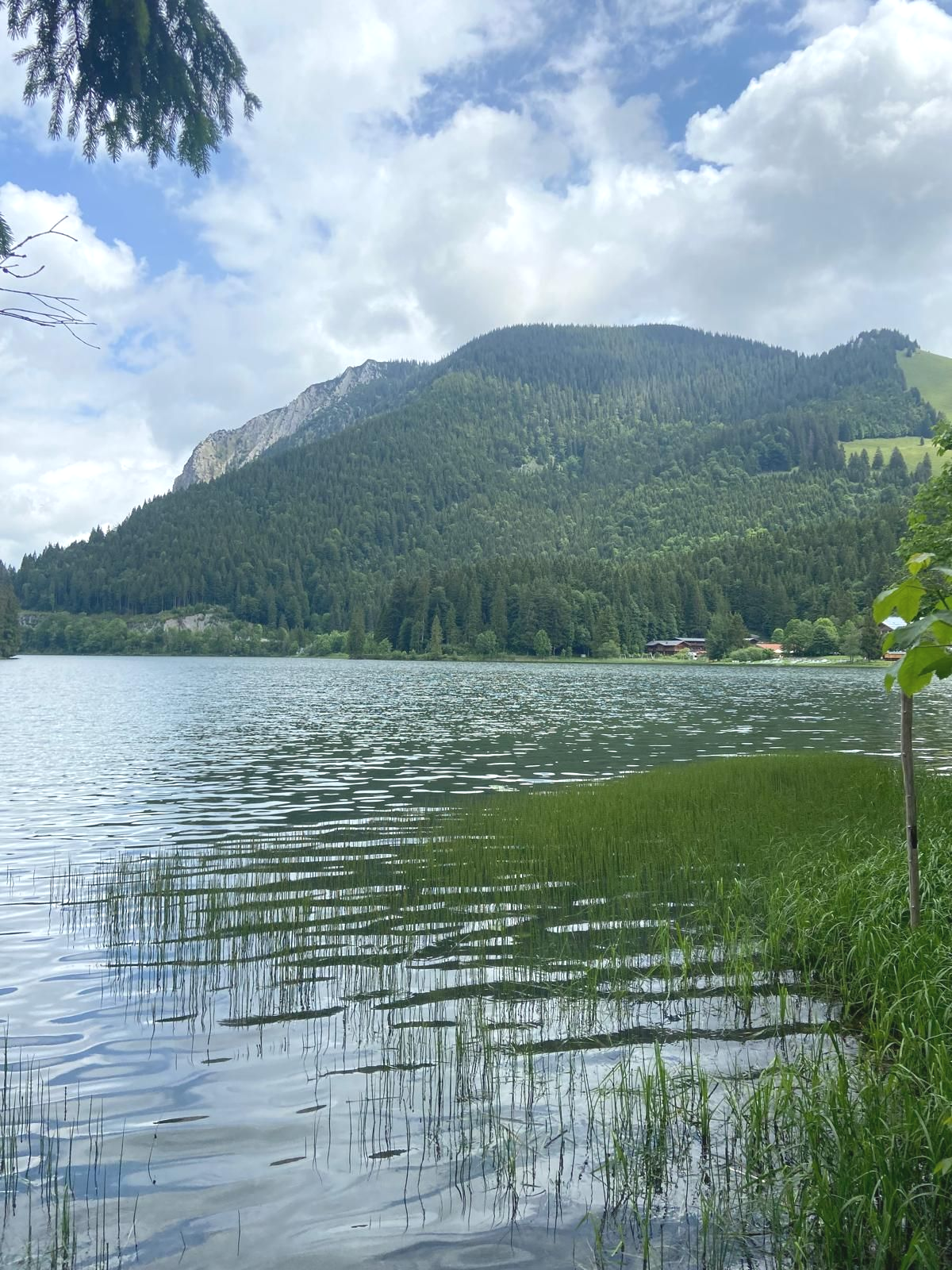 Im Vordergrund wächst Schilf am Ufer eines ruhigen Sees. Die Wasseroberfläche spiegelt den Himmel und die umliegenden Bäume. Im Hintergrund erhebt sich ein bewaldeter Berghang, darüber ziehen Wolken am Himmel. Am gegenüberliegenden Ufer stehen einige Gebäude zwischen den Bäumen.