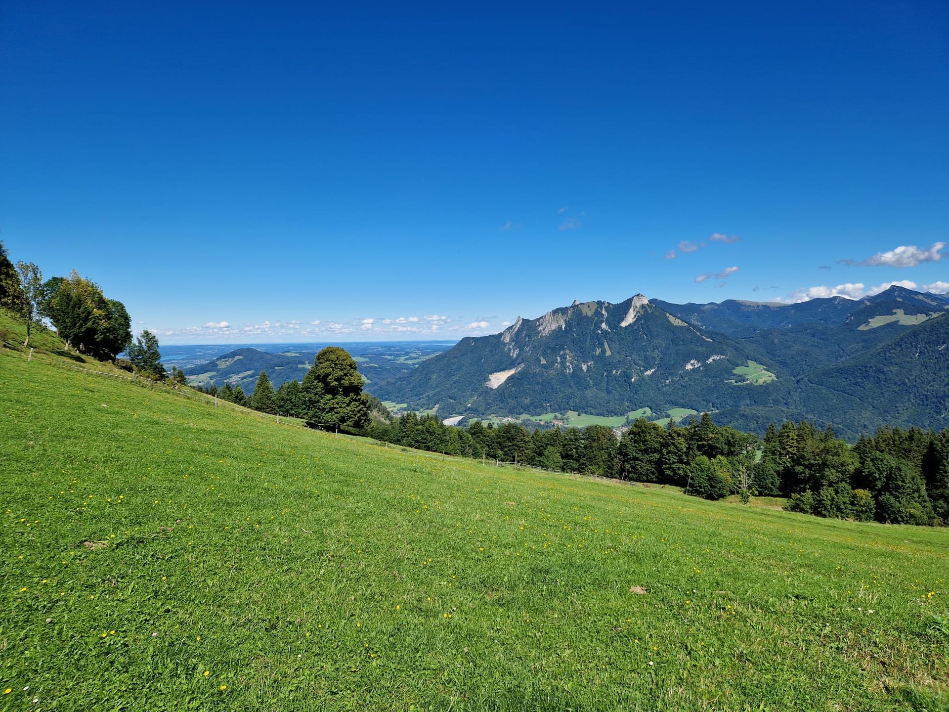 Blick auf eine grüne Wiese mit Bergen im Hintergrund unter blauem Himmel. Die Landschaft ist hügelig mit Bäumen und Wiesen.