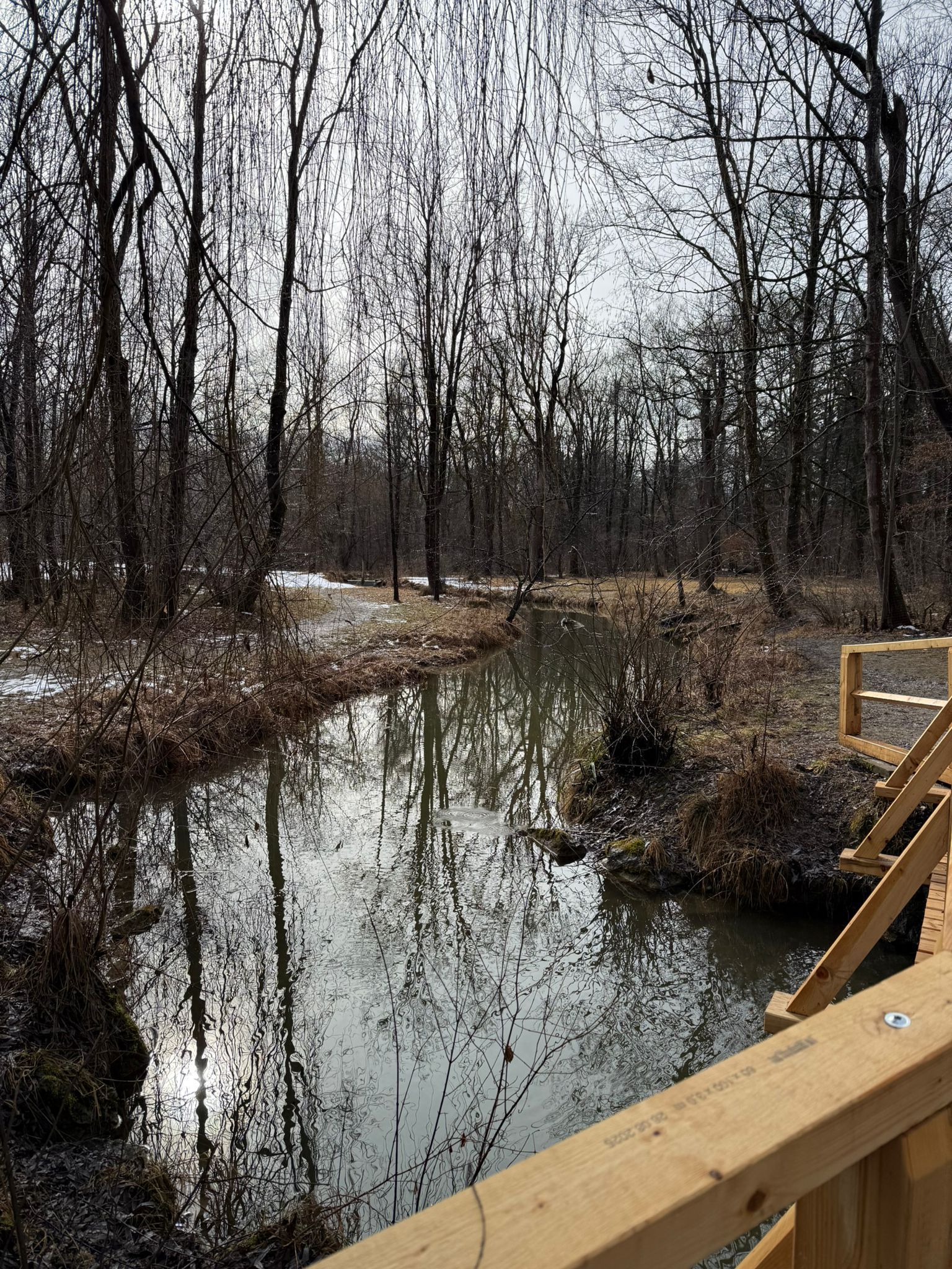Blick von einer Brücke mit Holzgeländer auf einen schmalen Bach, umgeben von kahlen Bäumen und brauner Vegetation im Winter